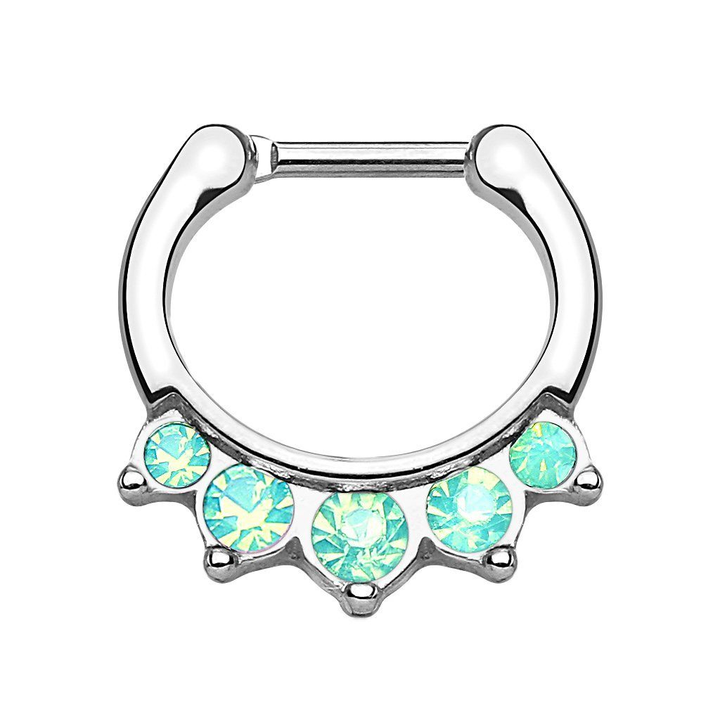 Nasenpiercing Piercing Septum Tragus Helix Hufeisen Horseshoe