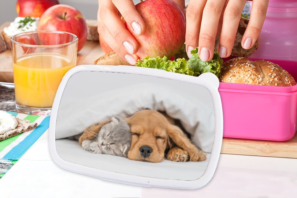 Erwachsene, Kunststoff, Mädchen, Kunststoff rosa (2-tlg), Kinder, MuchoWow - Brotdose Hund Katze Haustiere - Lunchbox - Snackbox, Decke, Brotbox für