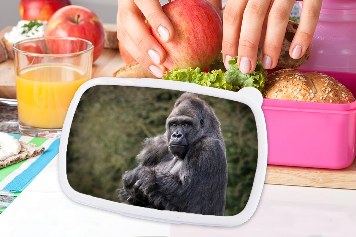 schaut Snackbox, die Kamera, Brotdose Gorilla direkt Großer MuchoWow für Kunststoff, Lunchbox in rosa Brotbox Mädchen, Erwachsene, Kinder, Kunststoff (2-tlg),