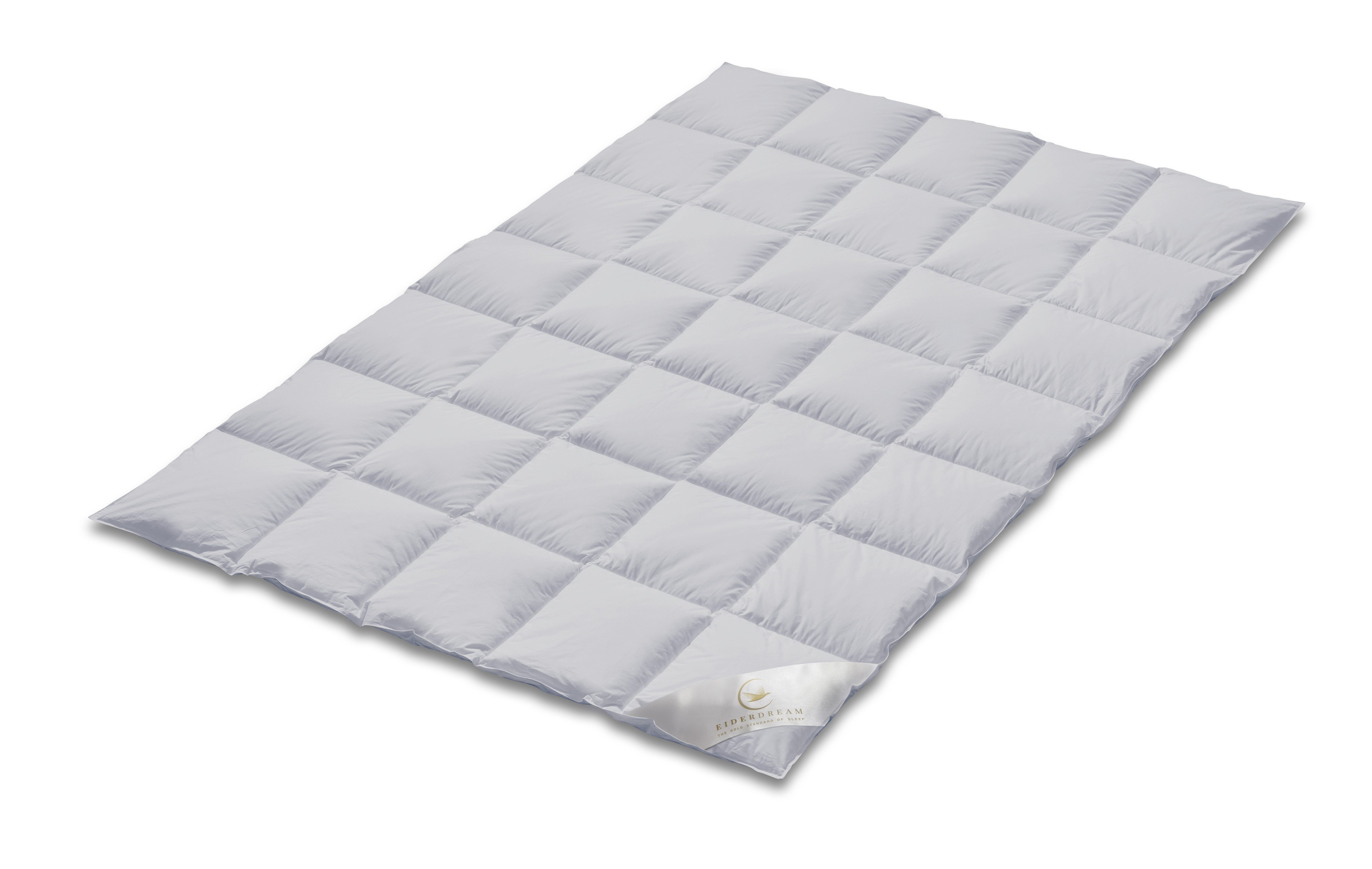 EIDERDREAM Daunenbettdecke EIDERDREAM Eiderdaunendecke – 100 günstig online kaufen
