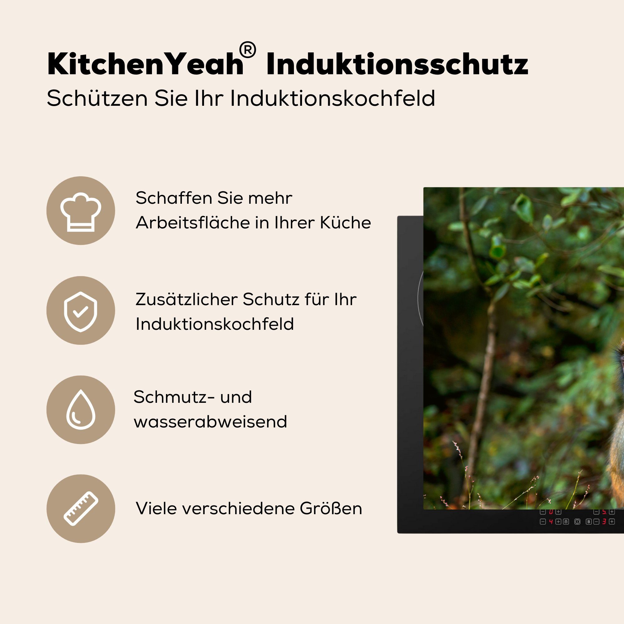 Wald, Herdblende-/Abdeckplatte Induktionskochfeld 81x52 MuchoWow tlg), küche, die Vinyl, Affen Schutz für Ceranfeldabdeckung (1 cm, - - Steine