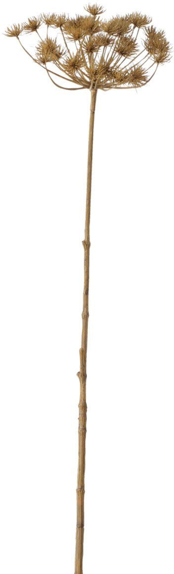 Kunstzweig Dekozweig Bärenklau, BOLTZE, Höhe 125 cm. € 44,99