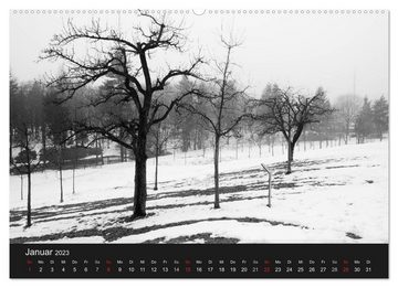 CALVENDO Wandkalender Bäume trees 2023 (Premium, hochwertiger DIN A2 Wandkalender 2023, Kunstdruck in Hochglanz)