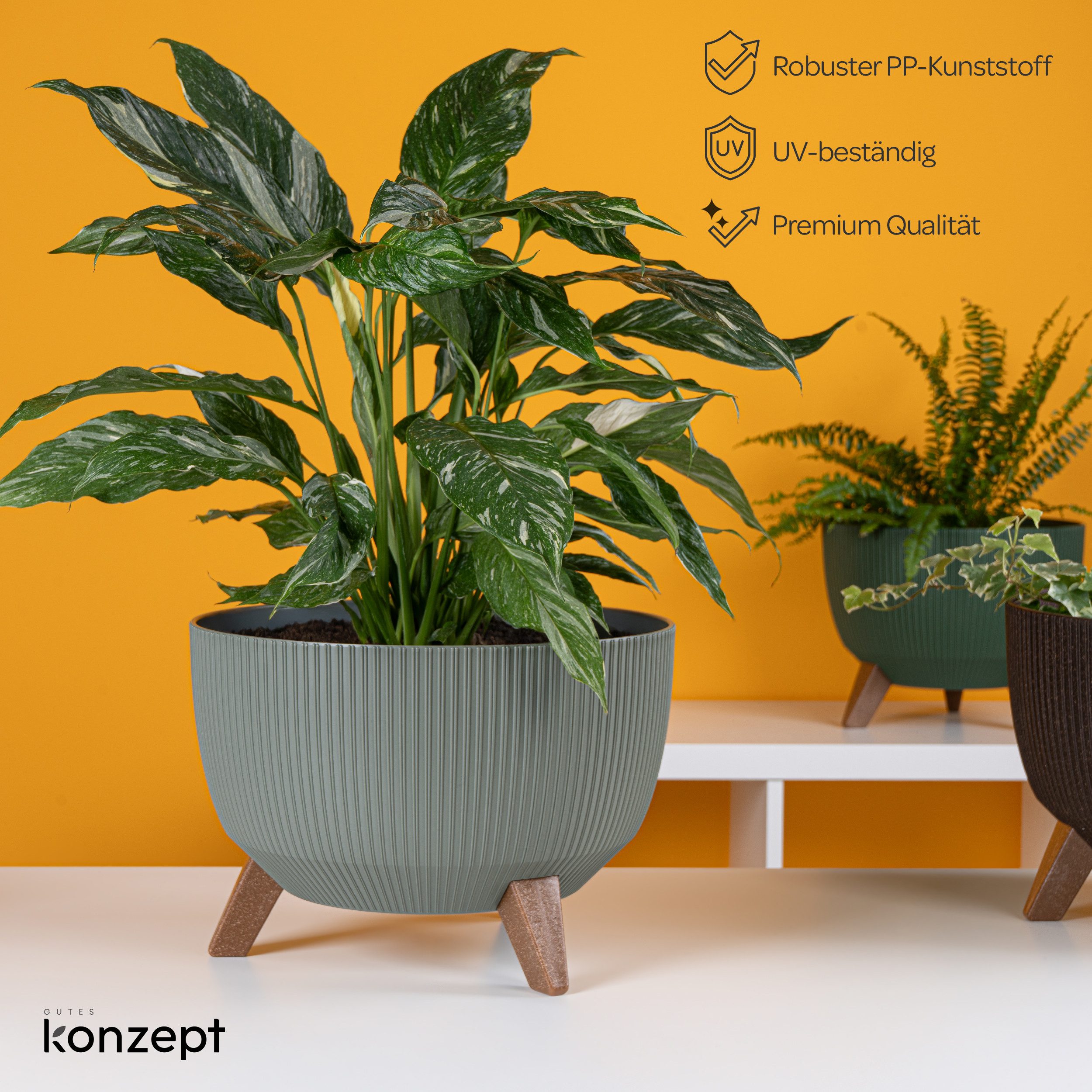 Thumbnail - KONZEPT Blumentopf Pflanzenschale mit Füßen 33 cm, Pflanzkübel Groß Außen, Blumentopf Kunststoff, UV-Beständig, Wetterfe...