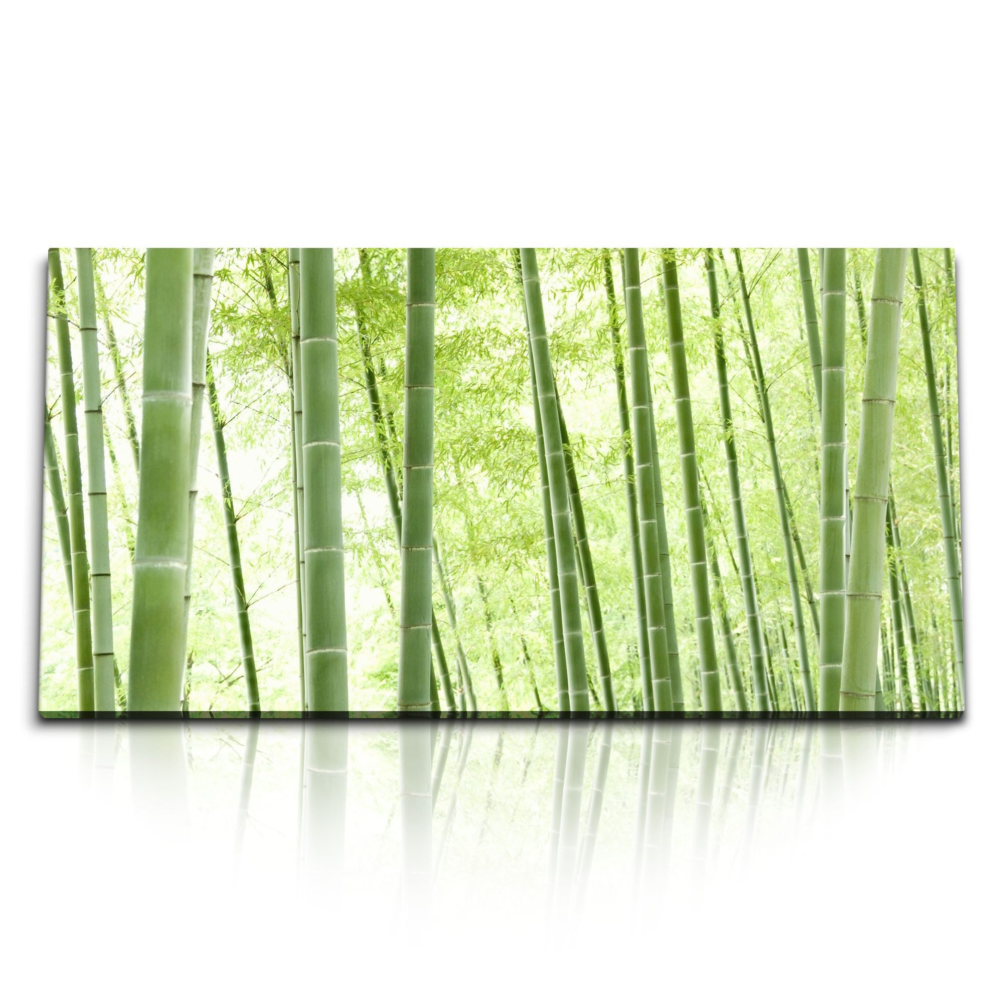 Sinus Art Leinwandbild Kunstdruck Bilder 120x60cm Bambus Bambuswald Asien Natur Grün, (1 St)