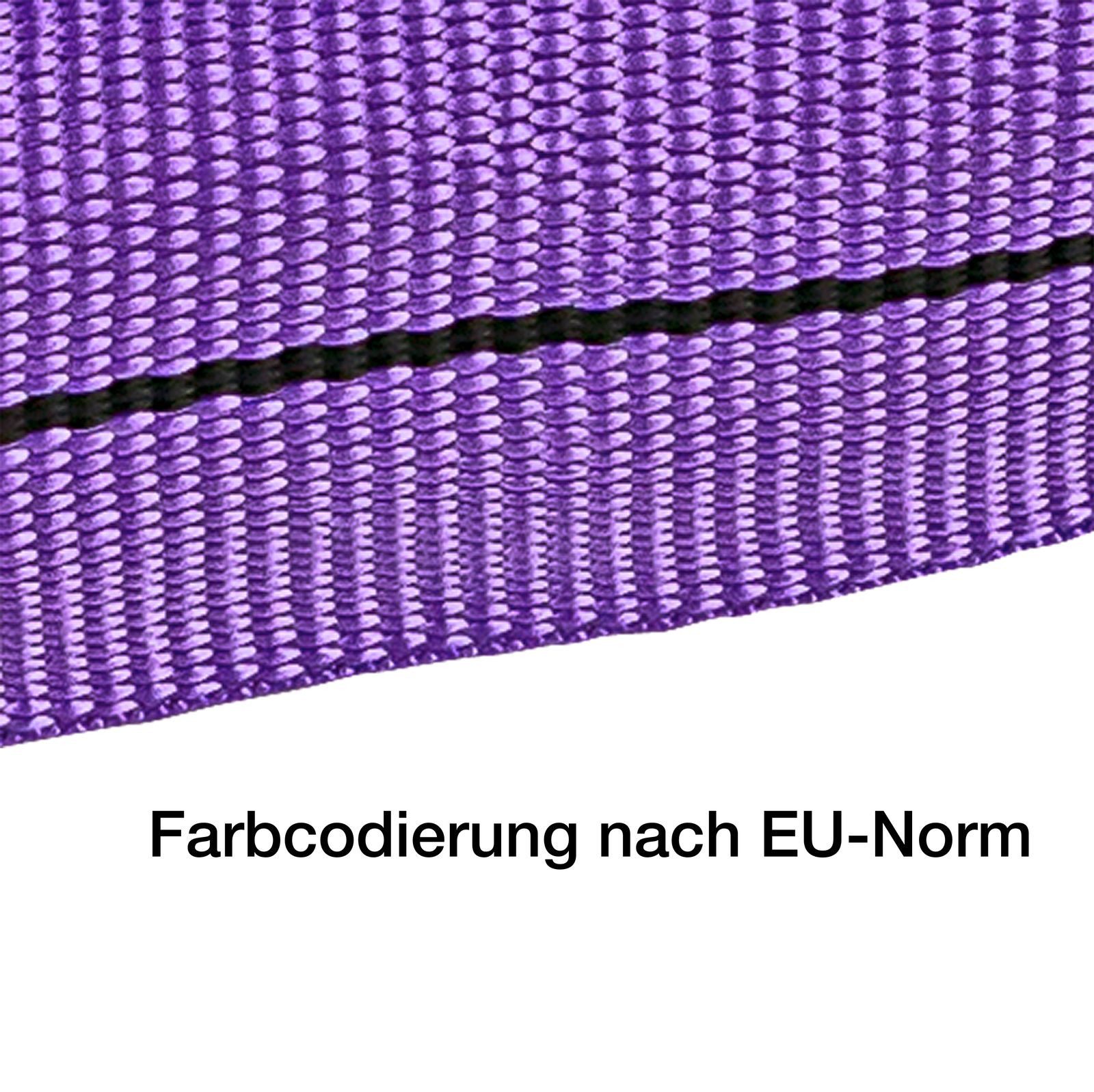 KesTek Rundschlinge Rundschlinge 1t 2m