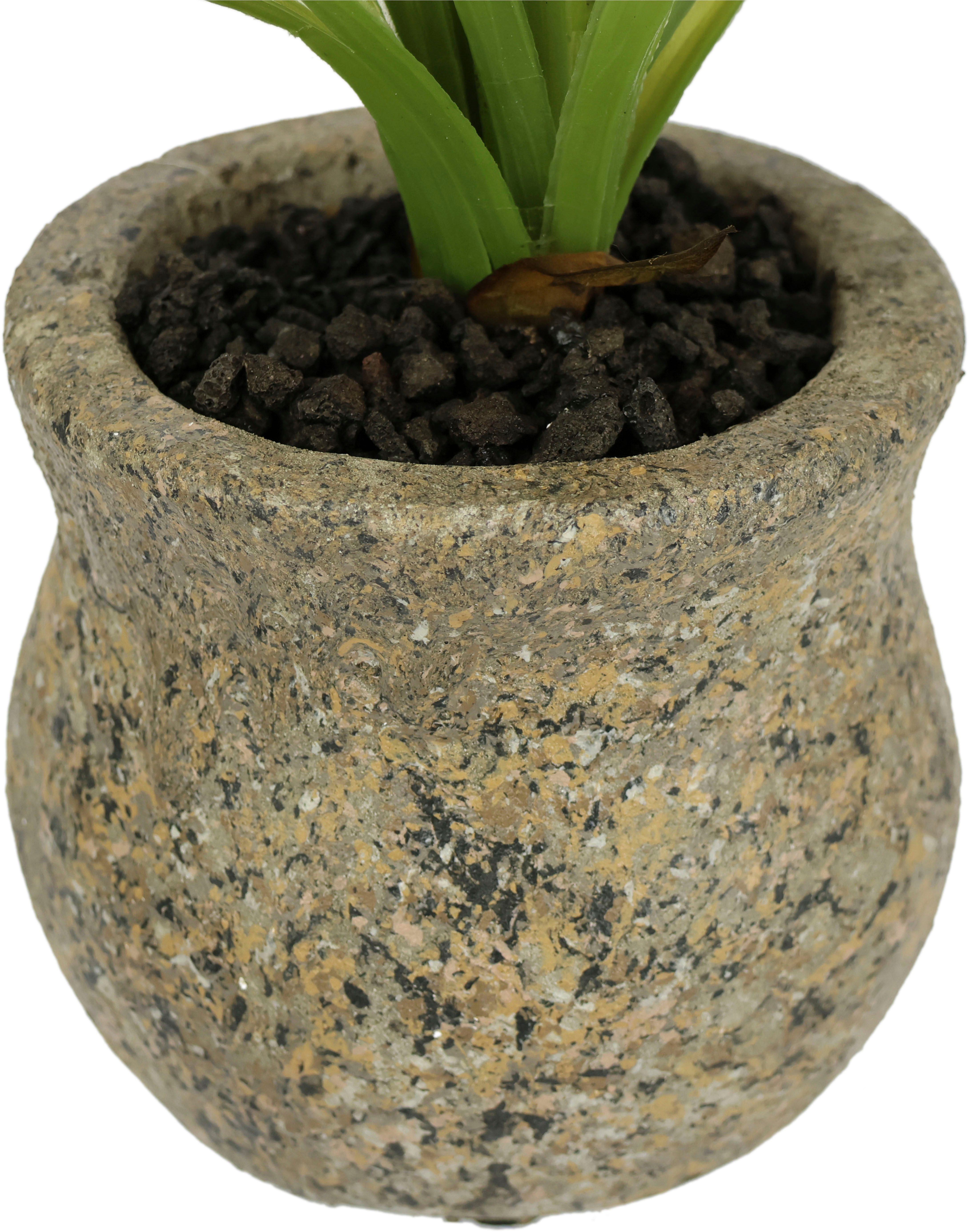 Kunstblume Kunstblume Schmetterling Orchidee mit Keramiktopf, I.GE.A., Höhe 38 cm, Mit Blätter Luftwurzeln Blume Kunstorchidee Phalaenopsis Kunstpflanze – Bild 3 von 3