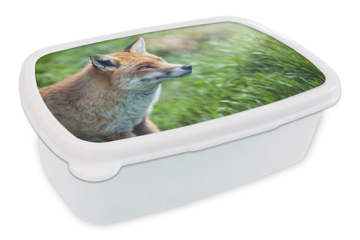 Gras für Erwachsene, Brotbox weiß Lunchbox Mädchen für und Jungs - Fuchs, (2-tlg), Brotdose, und - Kinder MuchoWow Kunststoff, Tiere