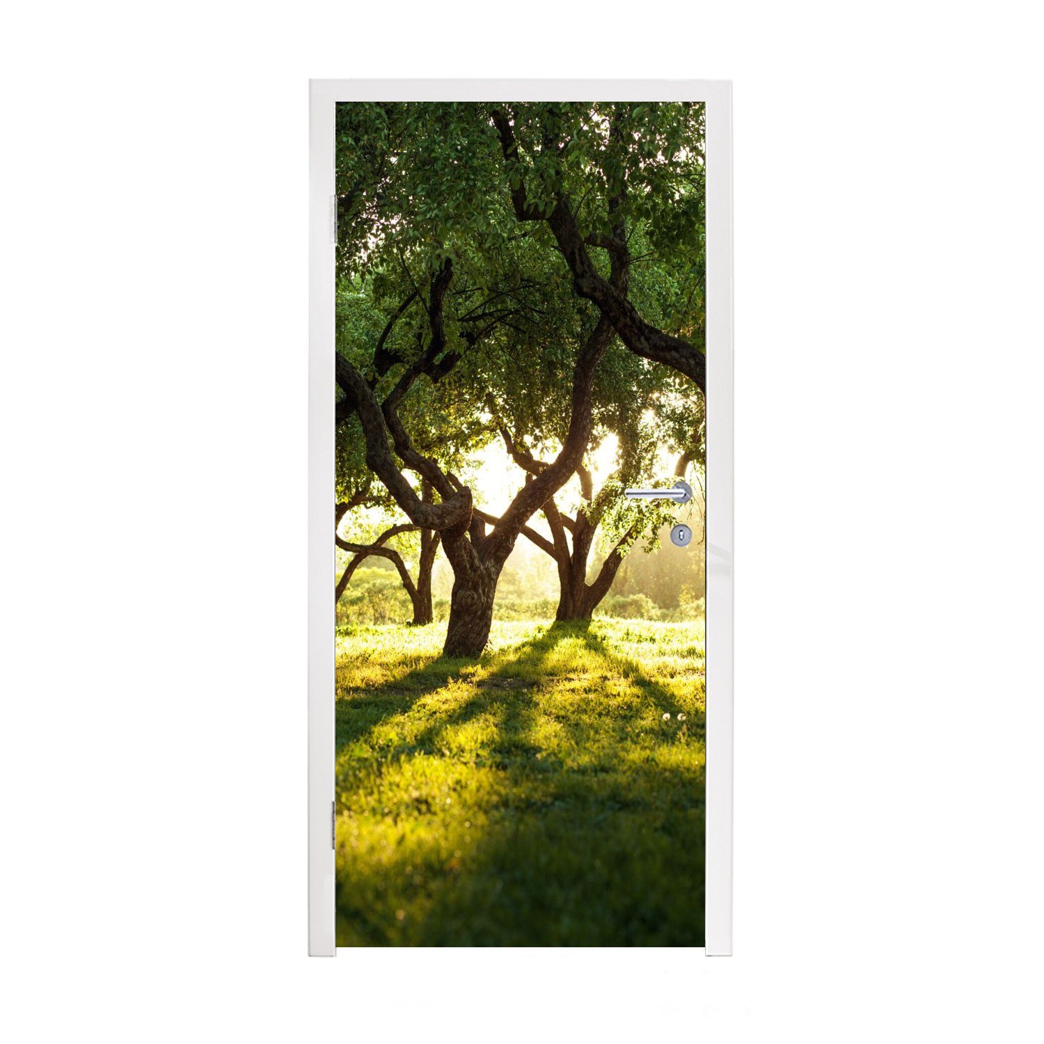 MuchoWow Türtapete Bäume - Natur - Sonne, Matt, bedruckt, (1 St), Fototapete für Tür, Türaufkleber, 75x205 cm