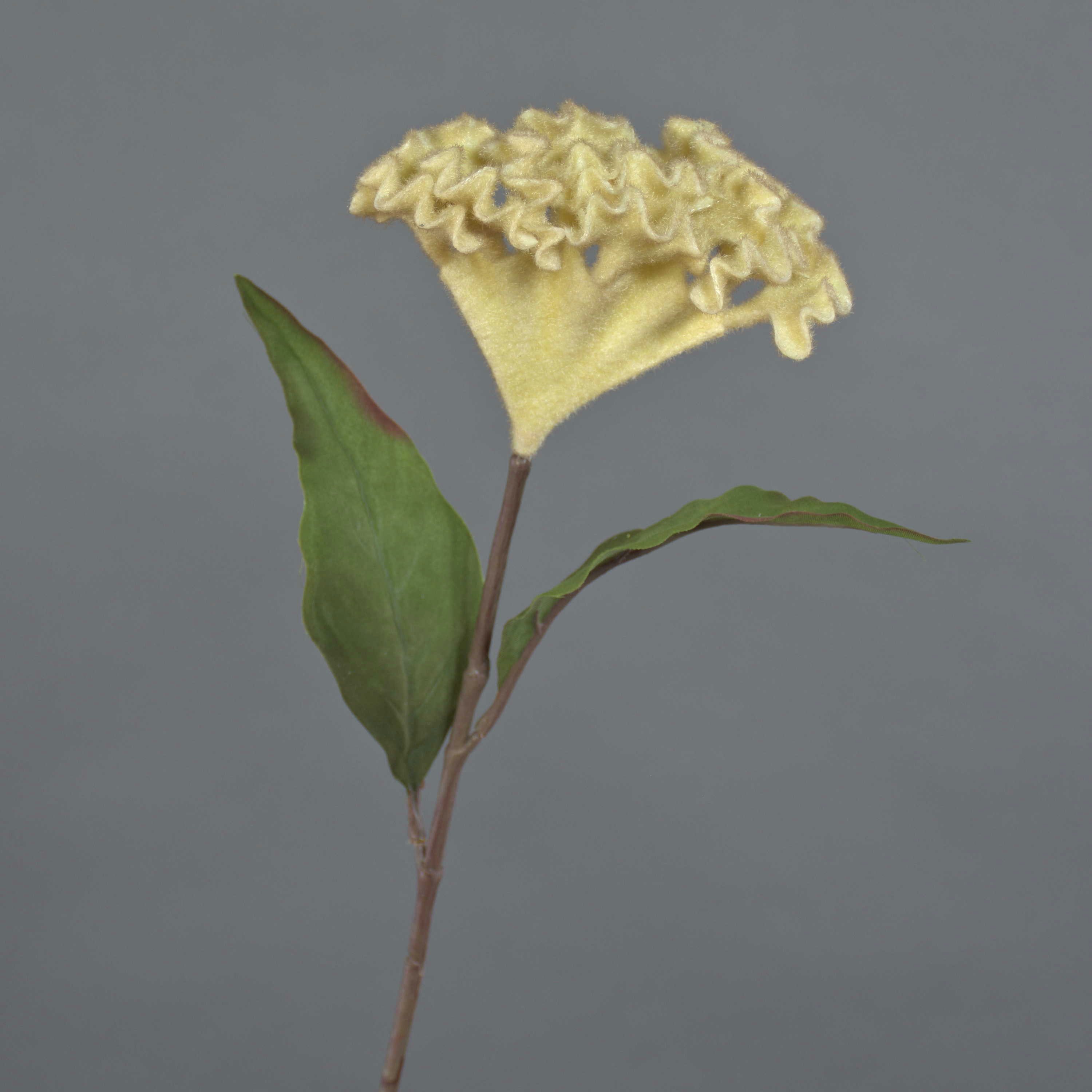 Kunstblume Künstlicher Hahnenkamm BONARES, beige, 60cm Hahnenkamm, artplants, Höhe 60.0 cm