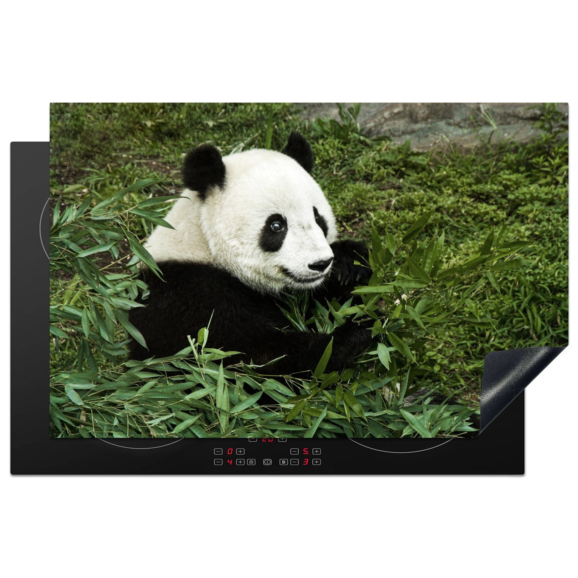 MuchoWow Herdblende-/Abdeckplatte Panda - Bambus - Pflanze, Vinyl, (1 tlg), 81x52 cm, Induktionskochfeld Schutz für die küche, Ceranfeldabdeckung