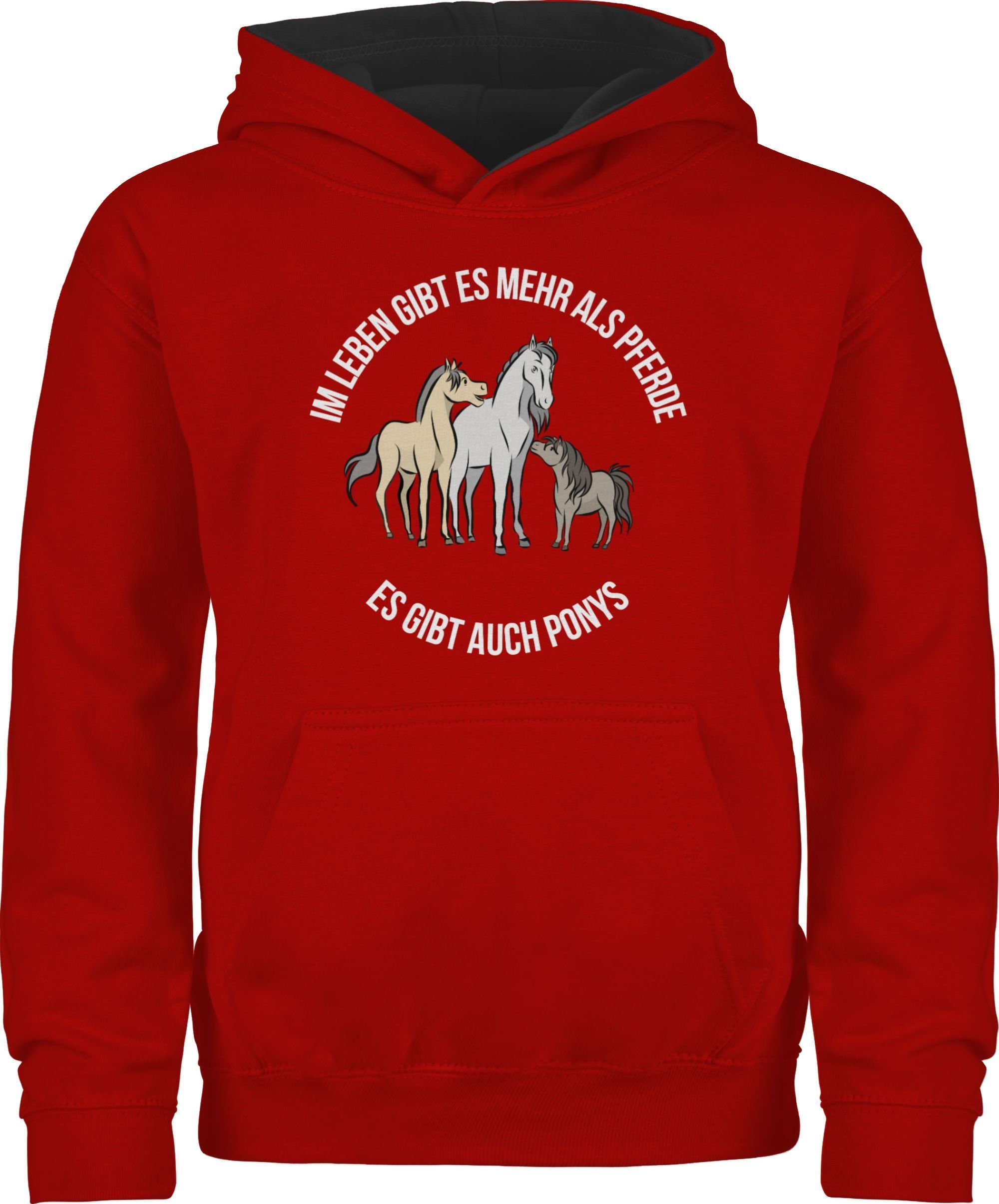 Hoodie Im Leben gibt es mehr als Pferde