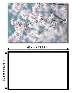 Victor (Zenith) Acrylglasbild Acrylglasbild \"Erste zarte Blüten\" - Größe: 30 x 45 cm, Blumen, in 30x45 cm, Glasbilder Blumen, Wohnzimmer & Schlafzimmer
