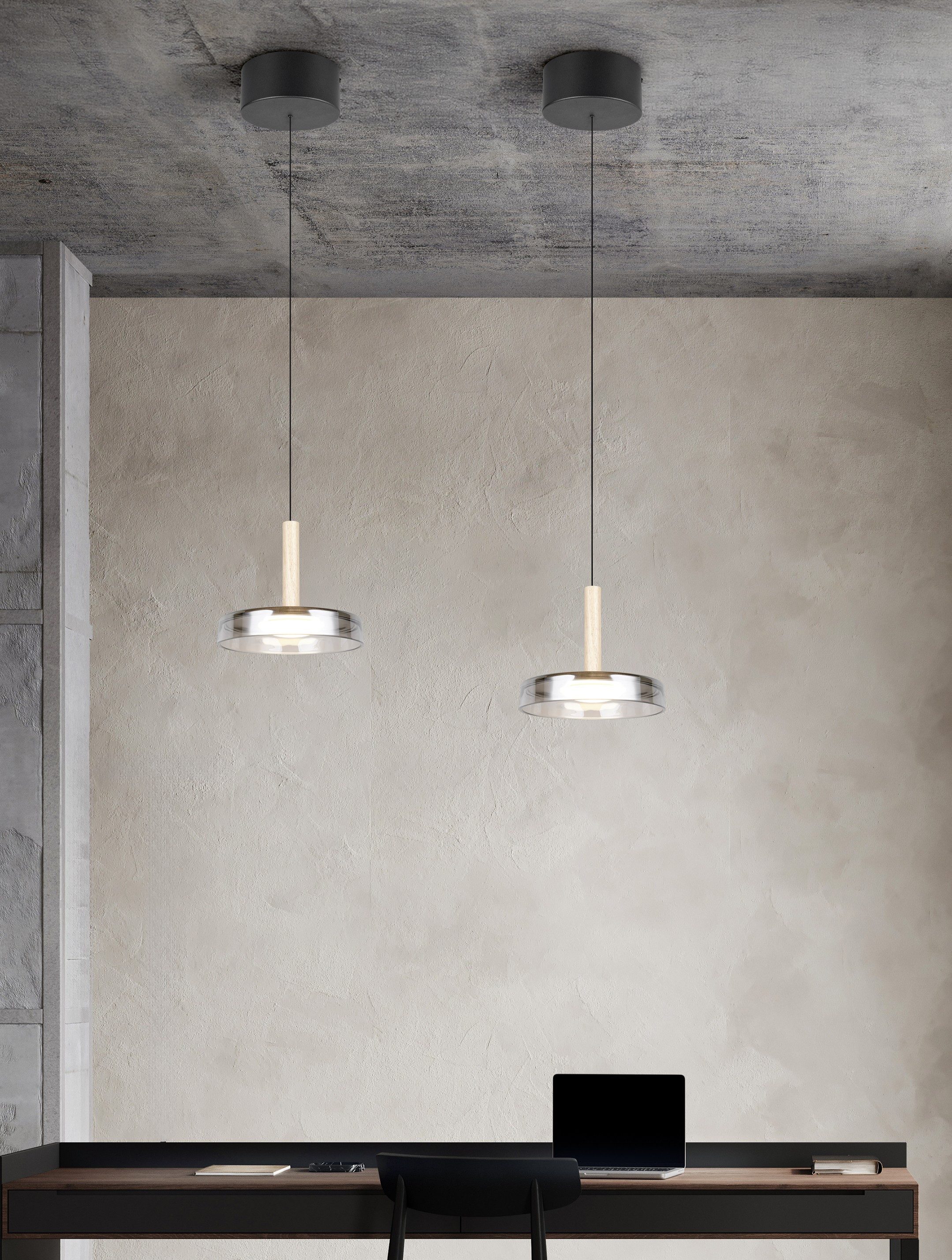TRIO Leuchten LED Pendelleuchte CELESTE dimmbare günstig online kaufen