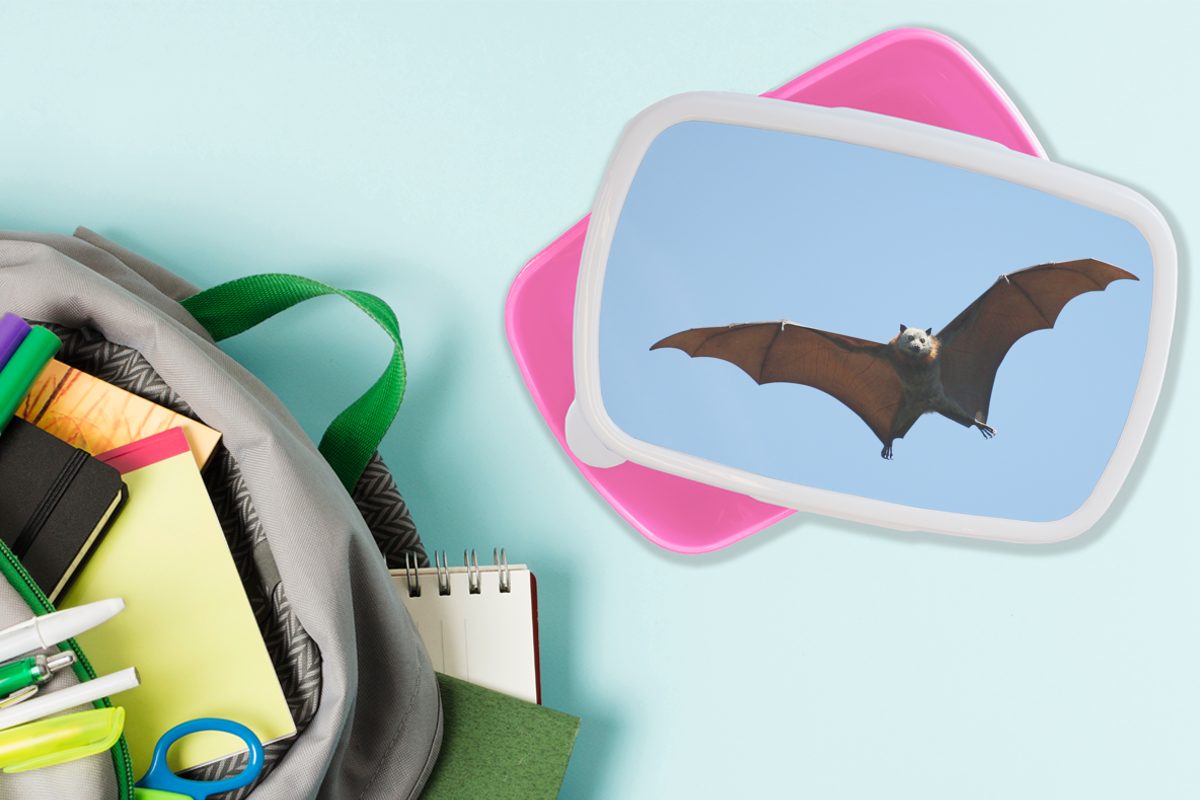 MuchoWow Lunchbox Fledermaus für Brotdose - Brotbox rosa - (2-tlg), Flügel, Snackbox, Kinder, Kunststoff Luft Erwachsene, Mädchen, Kunststoff