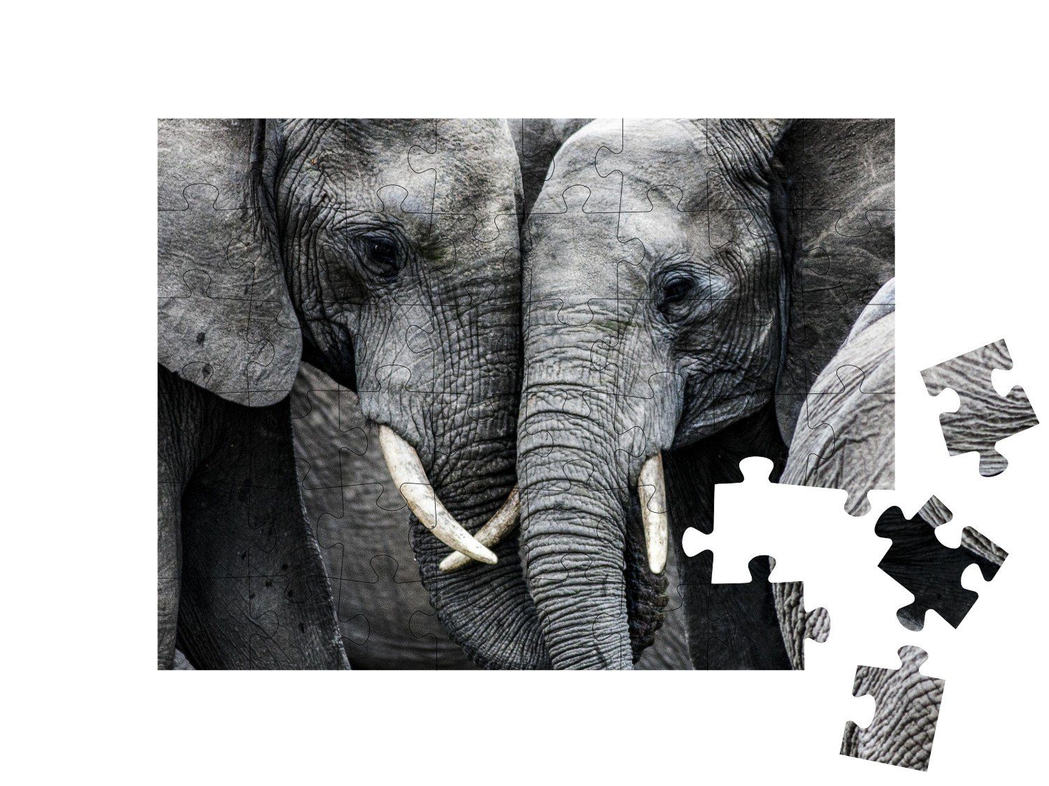 puzzleYOU Puzzle Elefanten, 48 Puzzleteile, Schwarz-Weiß puzzleYOU-Kollektionen Elefanten
