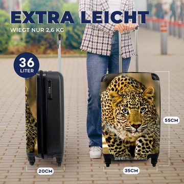 MuchoWow Handgepäckkoffer Leopard - Raubtier - Porträt, 4 Rollen, Reisetasche mit rollen, Handgepäck für Ferien, Trolley, Reisekoffer