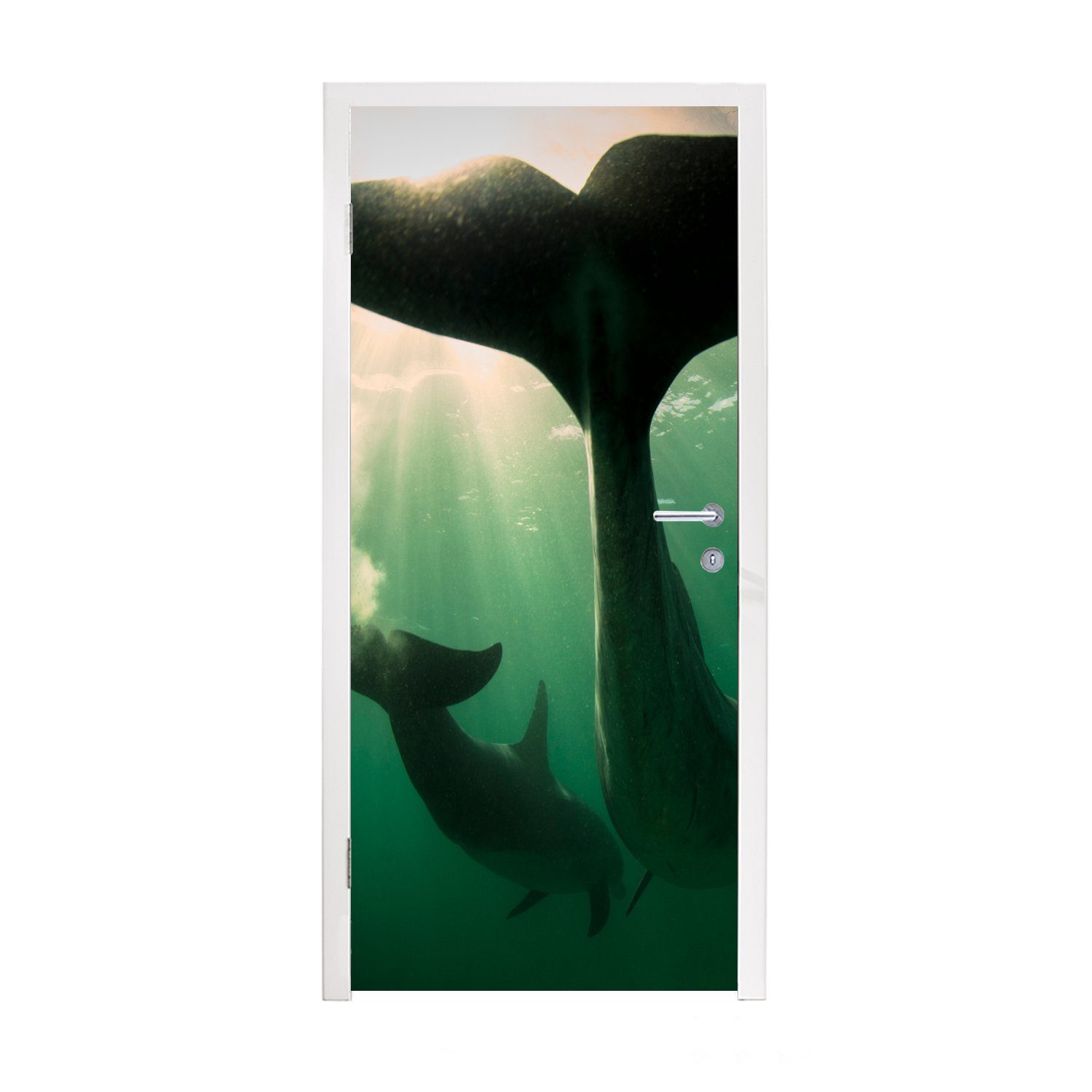 St), - Türtapete - MuchoWow Matt, 75x205 Delfin bedruckt, Türaufkleber, Tür, Blau, für Wasser Fototapete cm (1