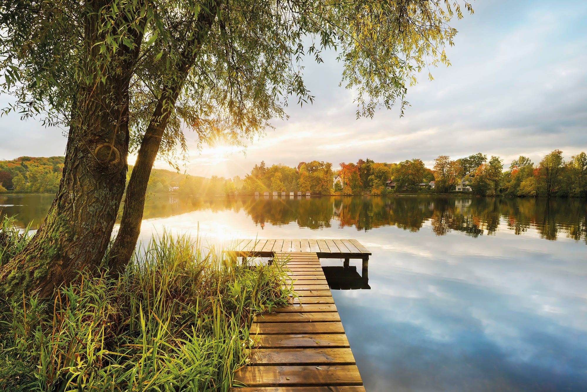 Komar Fototapete Vlies - Picnic - Größe 368 x 248 cm, glatt, bedruckt, (Packung, 1 St., Vlies Fototapete), Wohnzimmer, Schlafzimmer