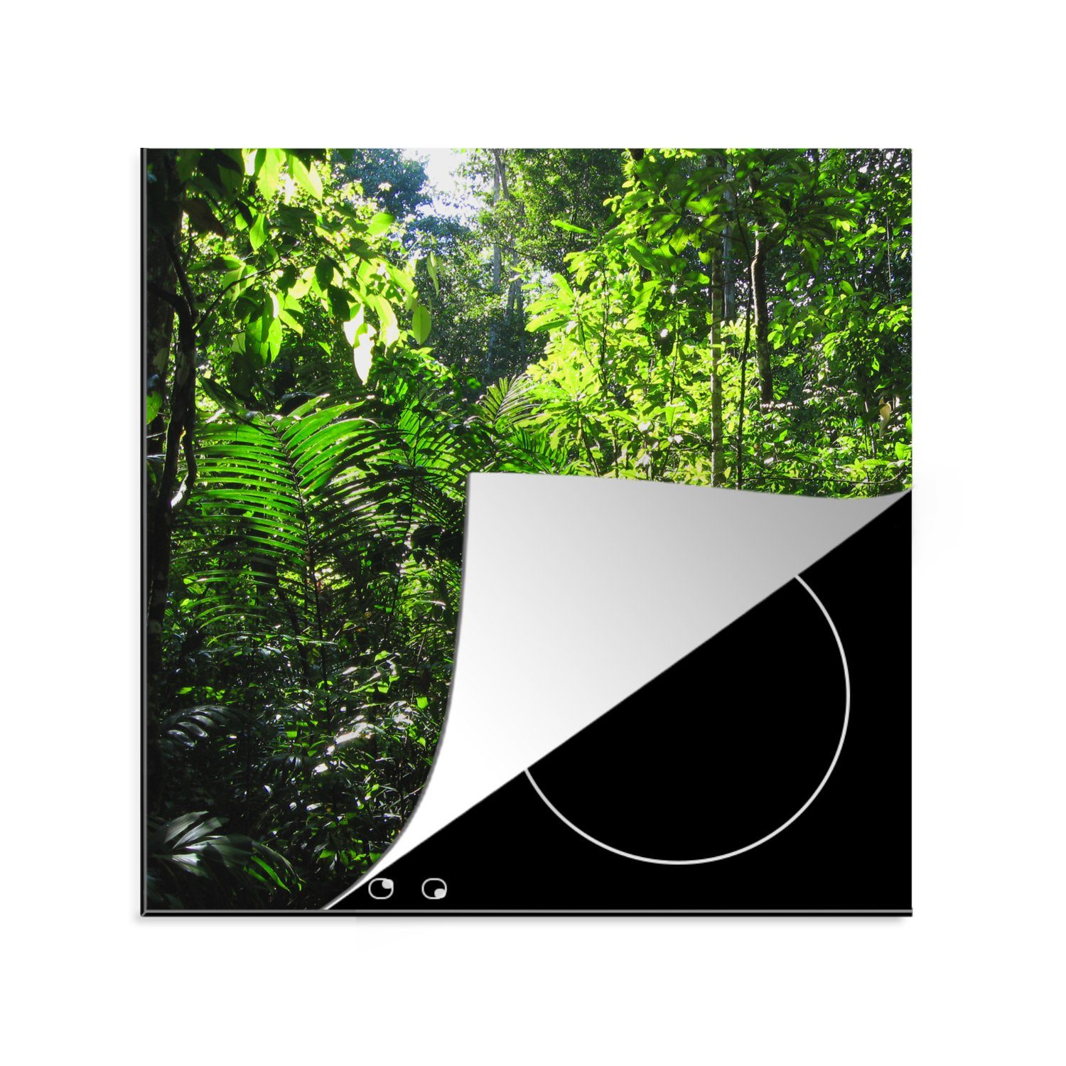MuchoWow Herdblende-/Abdeckplatte Brasilien - Dschungel - Grün, Vinyl, (1 tlg), 78x78 cm, Ceranfeldabdeckung, Arbeitsplatte für küche