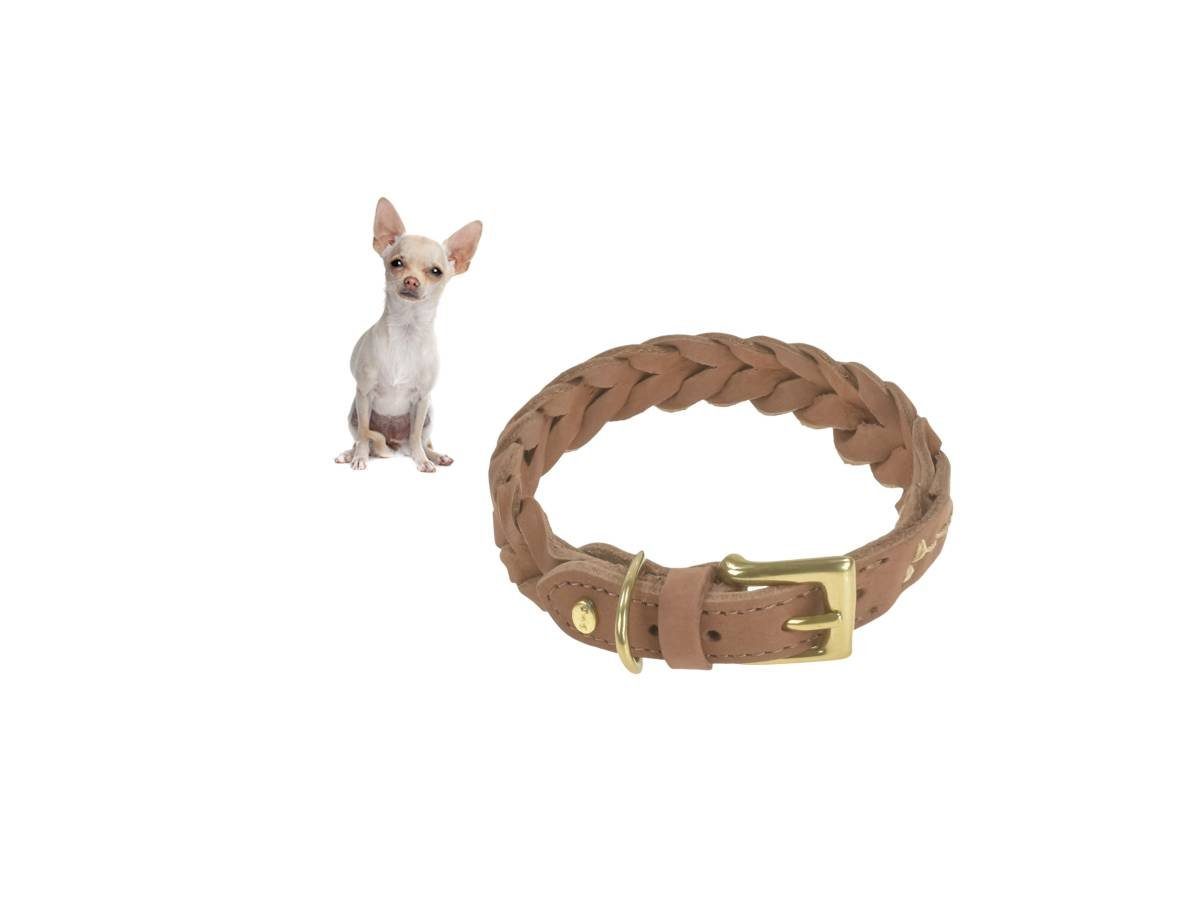 Denjo Dogs Hunde-Halsband Stockholm, Leder, Halsband, fellschonende Messingschnalle, Leder geflochten, Premium