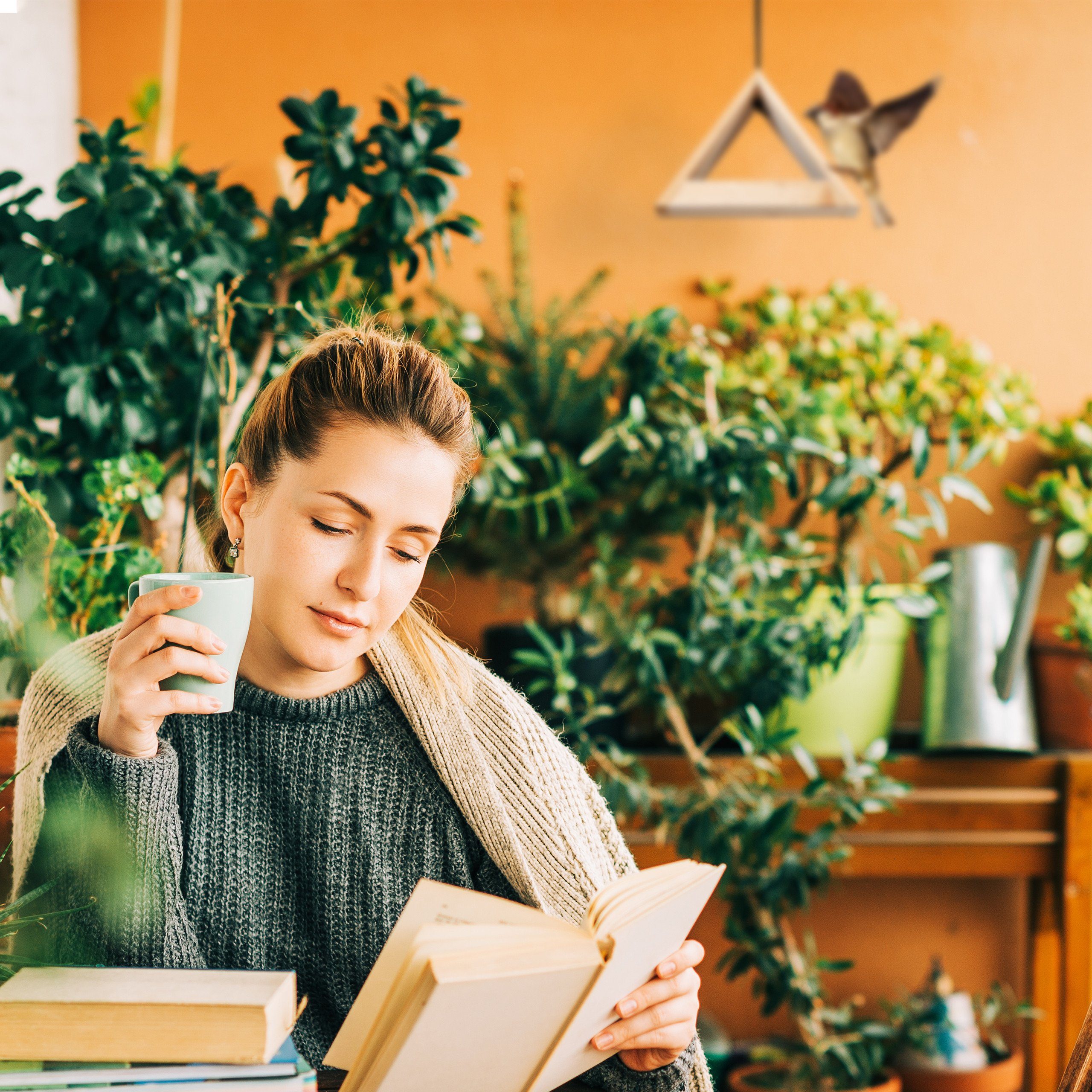 relaxdays Vogelhaus zum Aufhänge