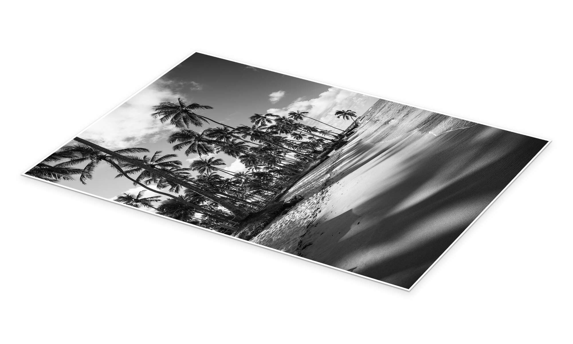 Posterlounge Wandbild Tropische Palmen an einem brasilianischen Strand, Alex Saberi, erhältlich als Poster, Leinwandbild, Wandsticker oder Acrylglasbild
