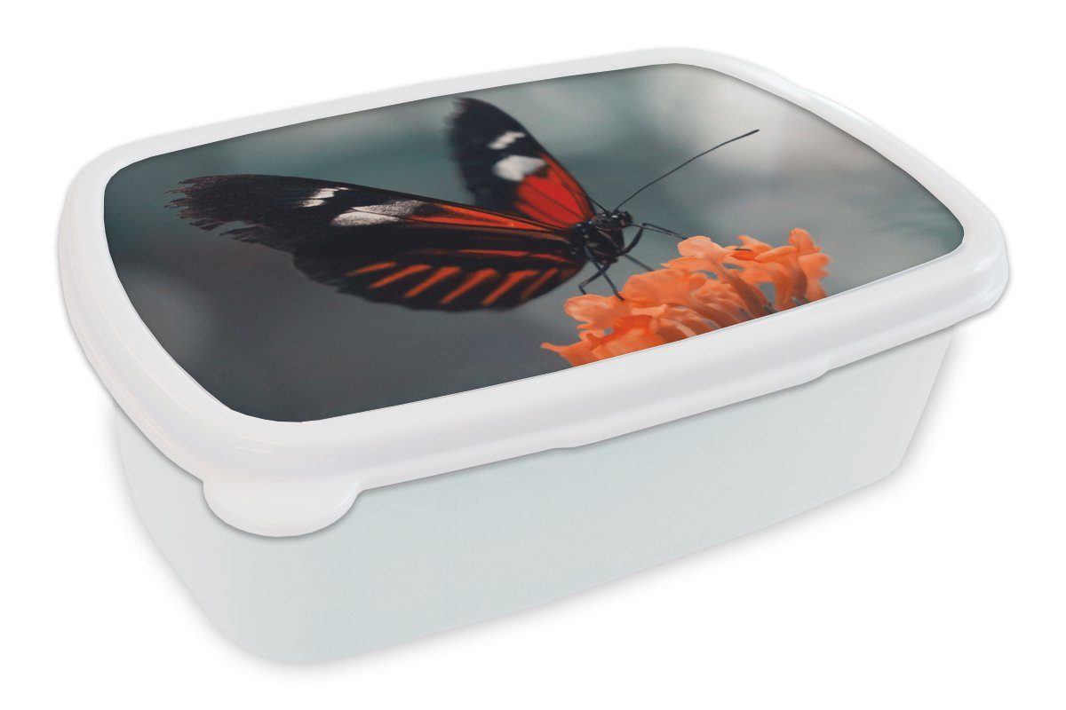 Jungs - Kunststoff, MuchoWow Mädchen weiß (2-tlg), Brotdose, Blume Insekt, und Kinder und Erwachsene, Brotbox für - Lunchbox Schmetterling für