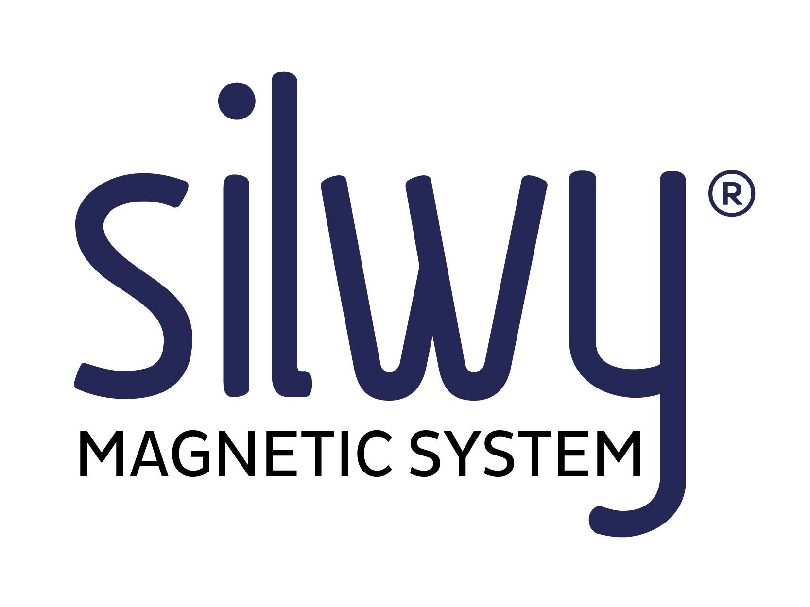 silwy MAGNETIC SYSTEM