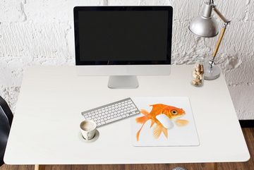 MuchoWow Gaming Mauspad Goldfisch - Weiß - Schwimmen (1-St), Mousepad mit Rutschfester Unterseite, Gaming, 40x40 cm, XXL, Großes