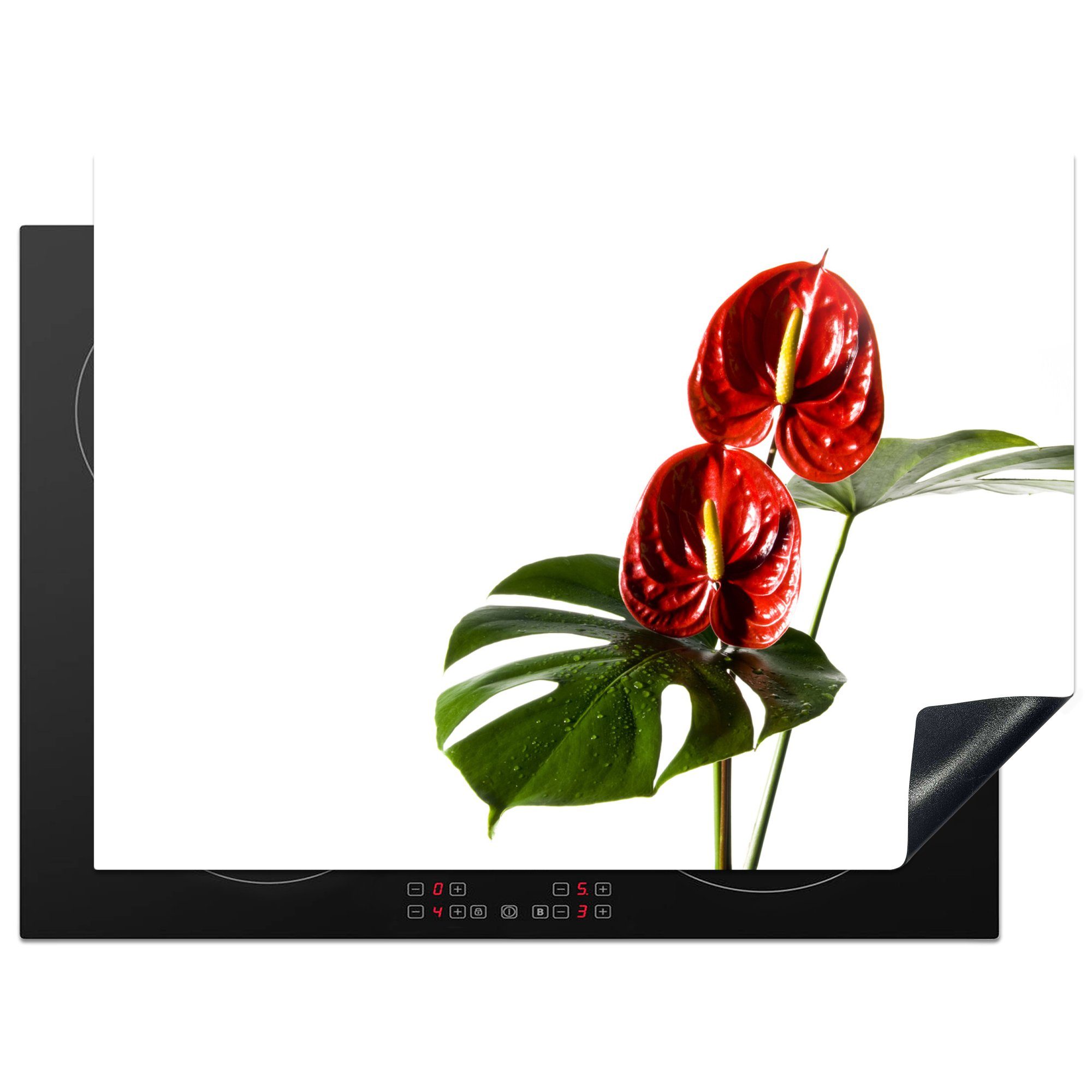 MuchoWow Herdblende-/Abdeckplatte Monstera mit roten Blättern vor einem weißen Hintergrund, Vinyl, (1 tlg), 71x52 cm, Induktionskochfeld Schutz für die küche, Ceranfeldabdeckung