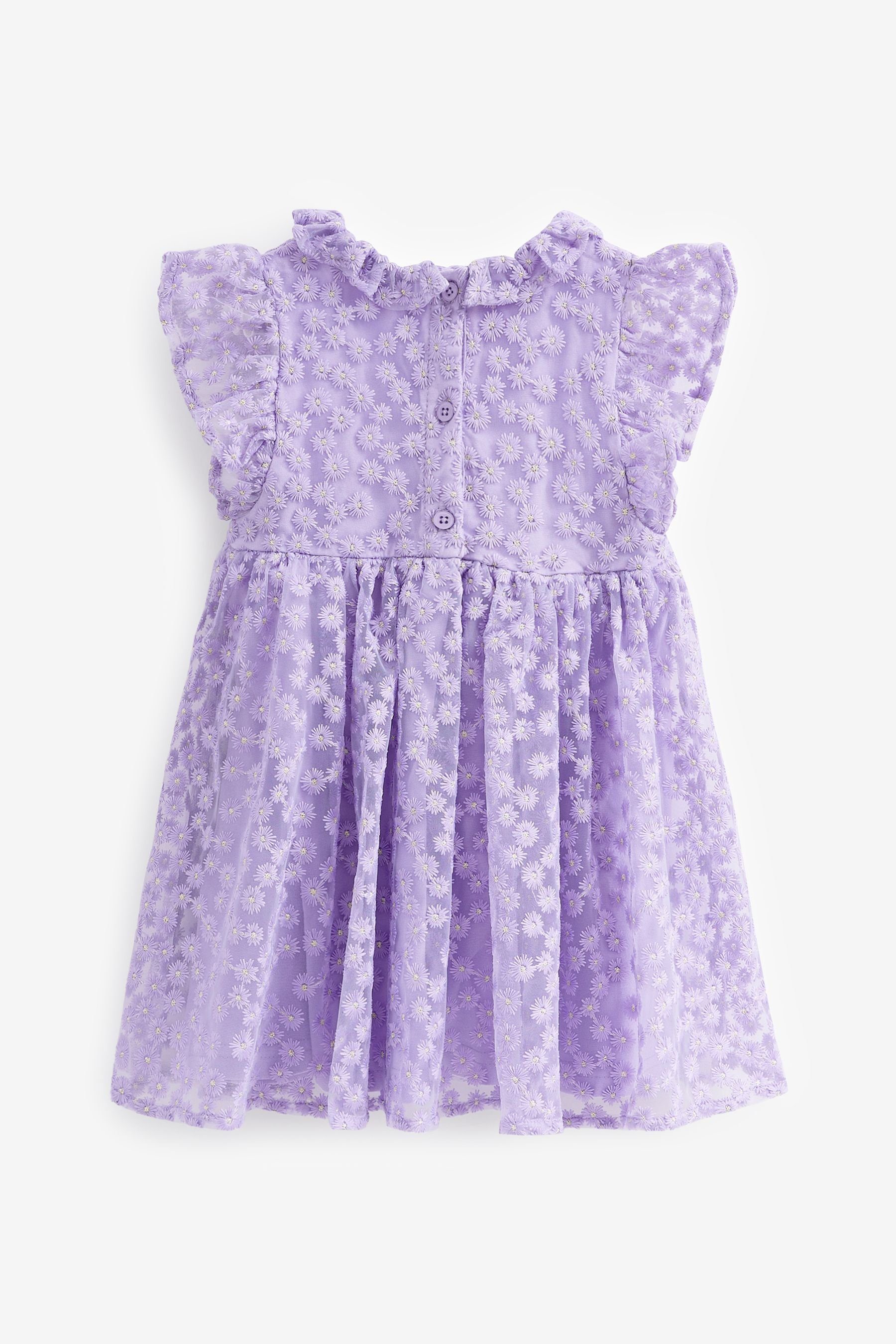 kurzen Kleid Rüschenärmel mit Lilac Purple Next (1-tlg) Spitzenkleid
