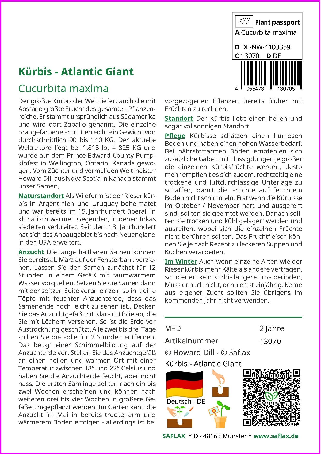 SAFLAX Gemüsesamen SAFLAX - Samen - Kürbis - Atlantic Giant günstig online kaufen