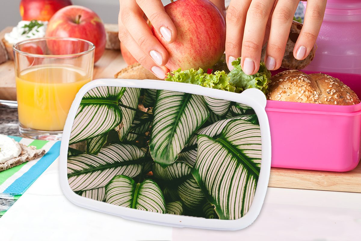 Kunststoff Natur für Grün, Kunststoff, - Blätter Mädchen, Brotbox Snackbox, (2-tlg), Brotdose Erwachsene, MuchoWow rosa Lunchbox - Kinder,