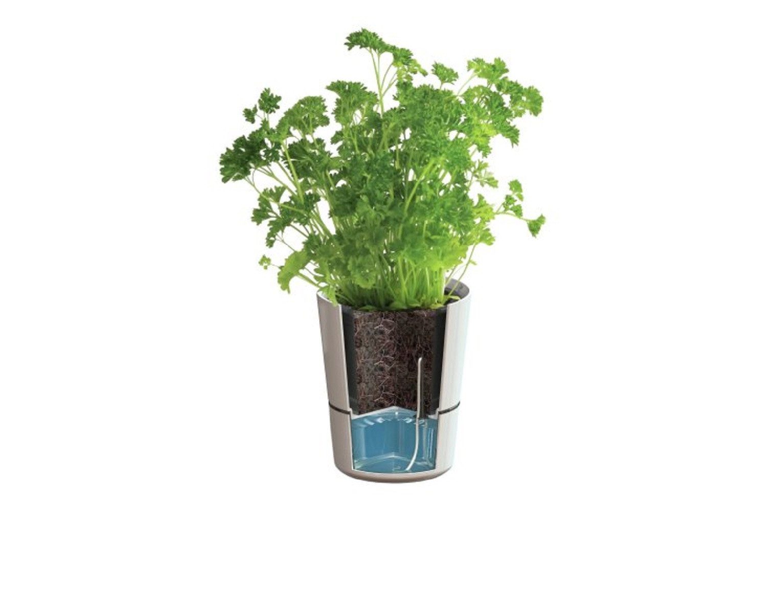 Mepal Kräutertopf Kräutertopf Large, Plastik, Weiß, 13 cm. € 15,90