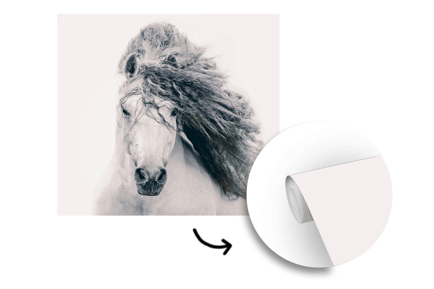 Fototapete Vinyl Matt, Wohnzimmer Haar, Wandtapete - Weiß für - Pferd (5 oder MuchoWow St), Tapete bedruckt, Schlafzimmer,