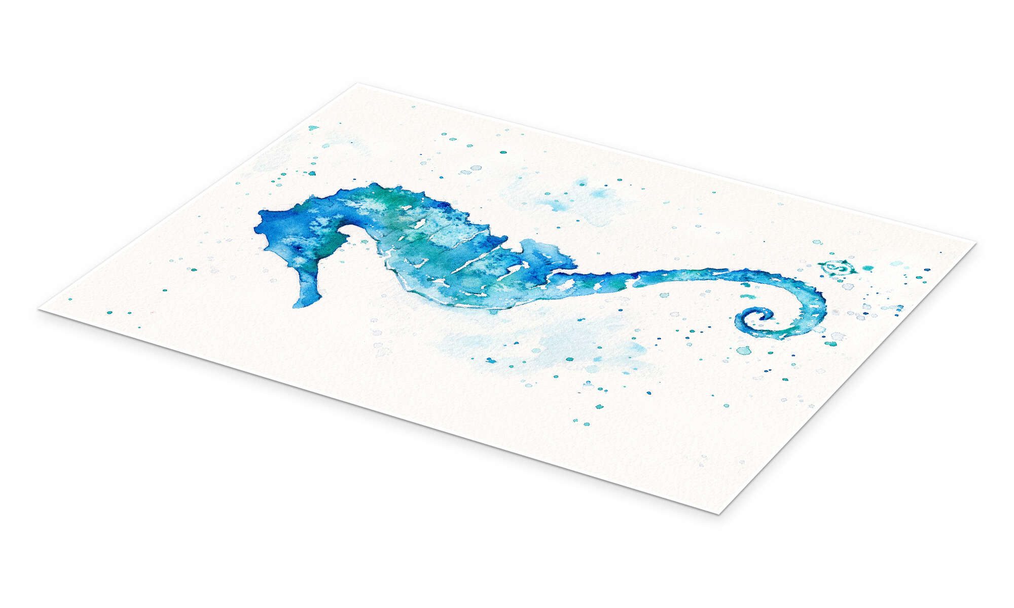 Posterlounge Wandbild Seepferdchen, Sillier Than Sally, erhältlich als Poster, Leinwandbild, Wandsticker oder Acrylglasbild