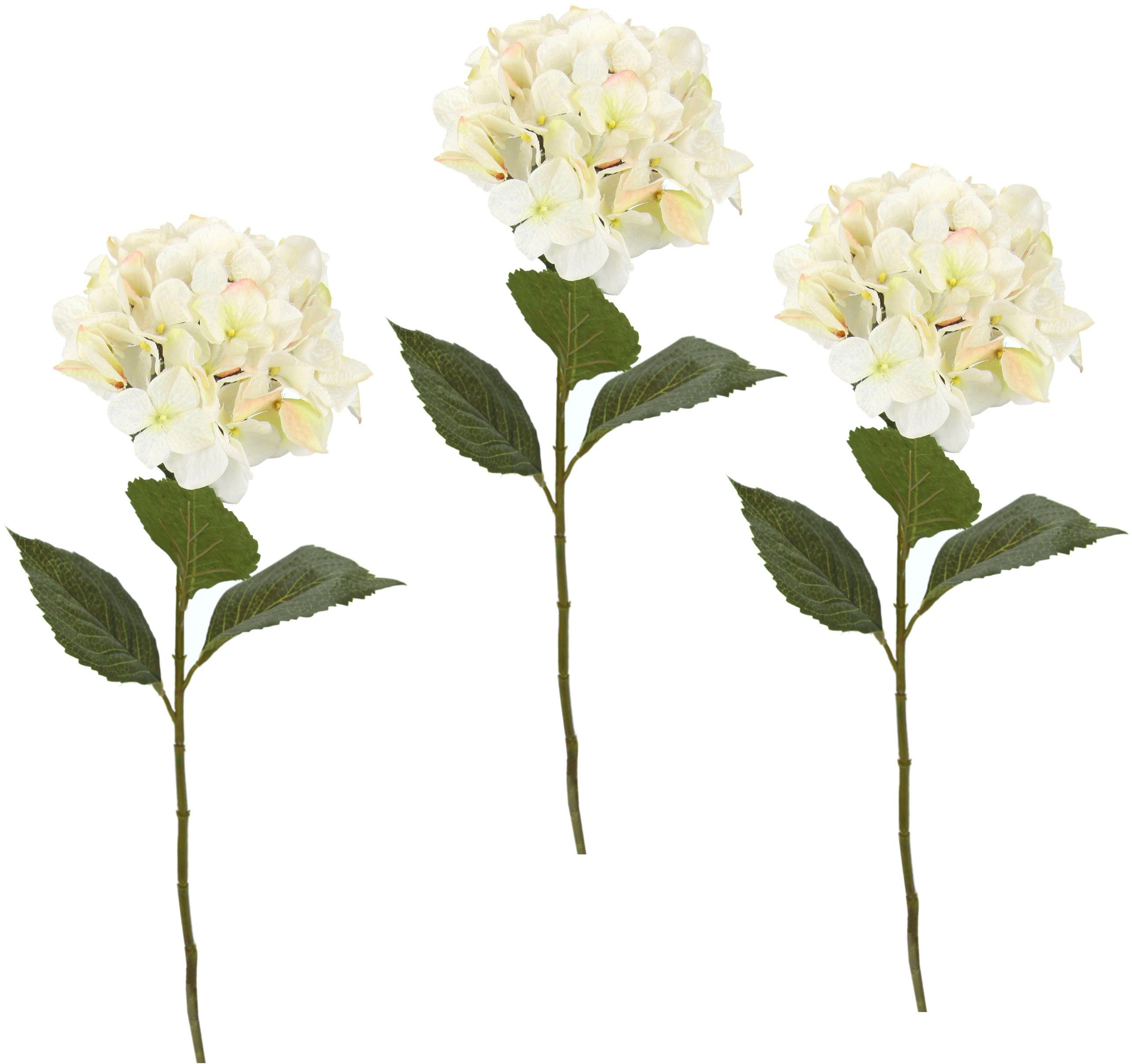 Kunstblume Hortensie, I.GE.A., Höhe 73 cm, 3er Set creme