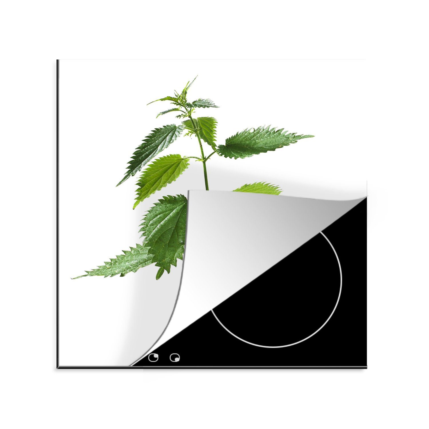 MuchoWow Herdblende-/Abdeckplatte Eine Brennnesselpflanze, Vinyl, (1 tlg), 78x78 cm, Ceranfeldabdeckung, Arbeitsplatte für küche