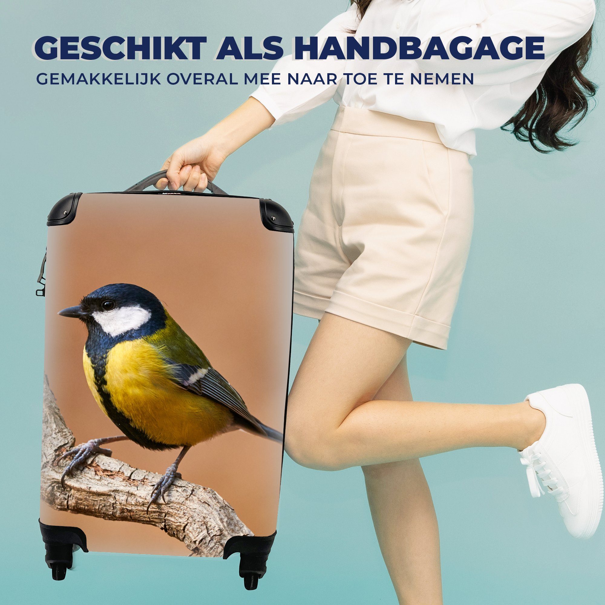 MuchoWow Handgepäckkoffer Reisetasche Reisekoffer Handgepäck - 4 Ferien, rollen, für Rollen, Trolley, - Vogel Zweige, mit Kohlmeise