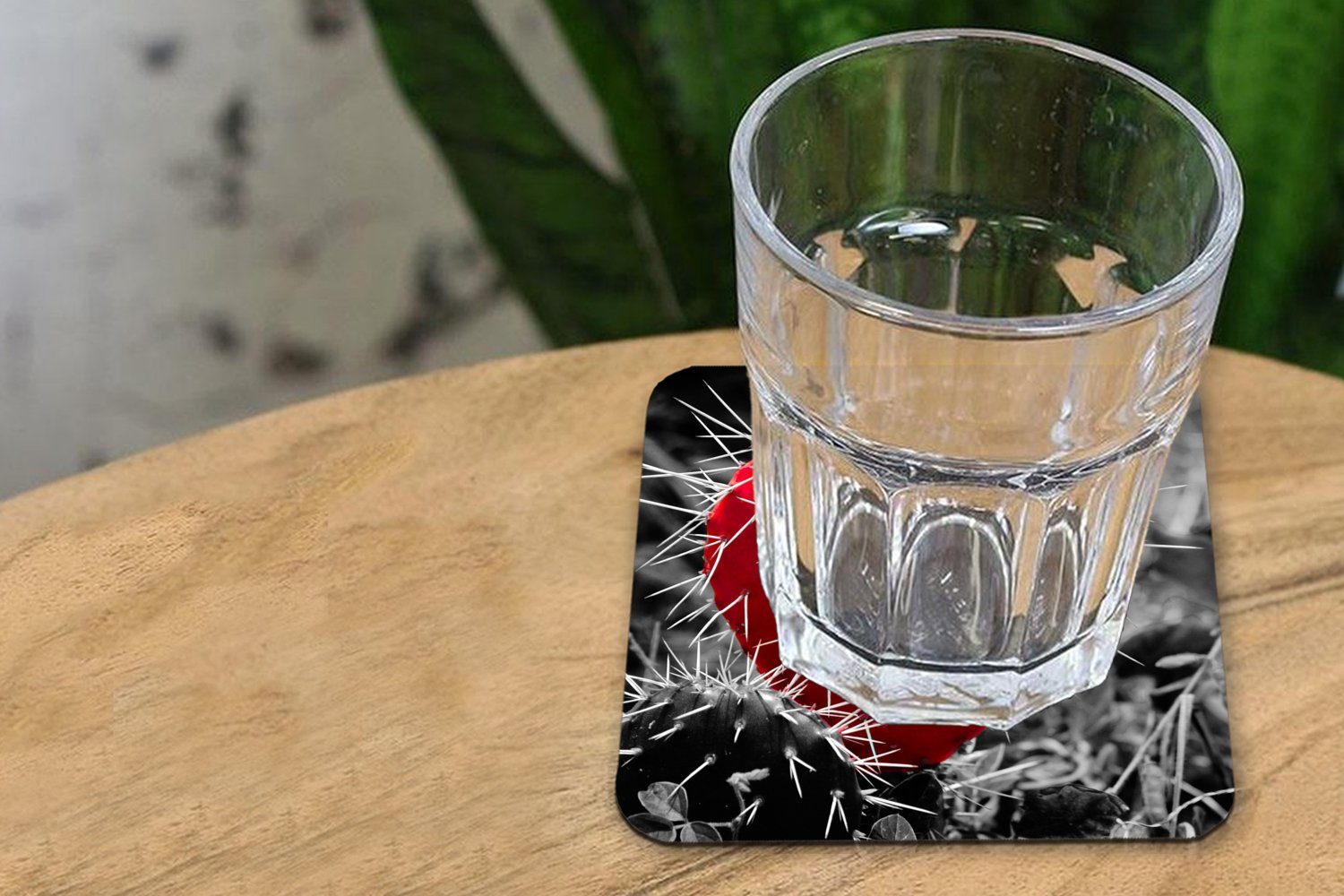 MuchoWow Glasuntersetzer Schwarz-Weiß-Foto mit einem 6-tlg., Tasse roten Glasuntersetzer, Gläser, Kaktus, Zubehör Tischuntersetzer, herzförmigen Korkuntersetzer, für Untersetzer