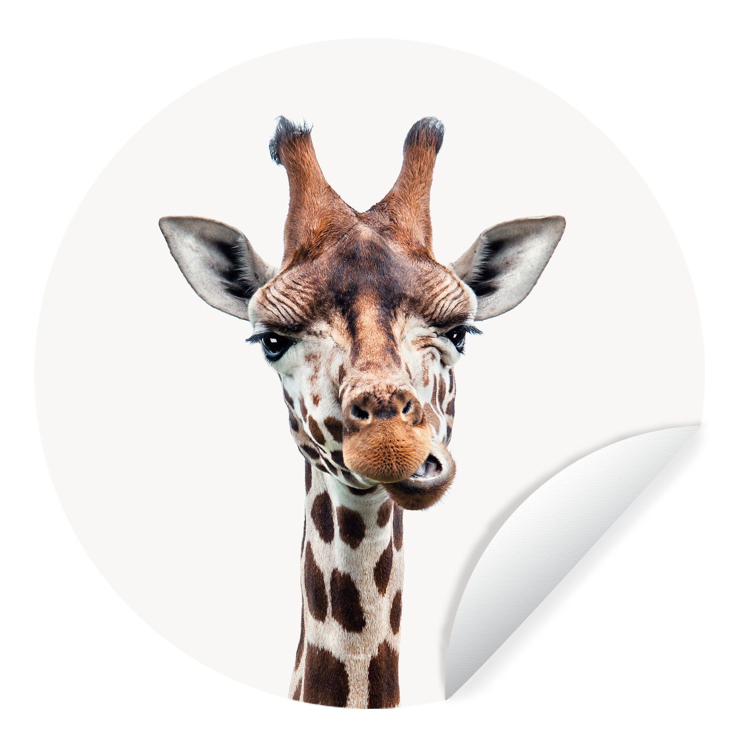 MuchoWow Wandsticker Tiere - Porträt - Giraffe (1 St), Tapetenkreis für Kinderzimmer, Tapetenaufkleber, Rund, Wohnzimmer