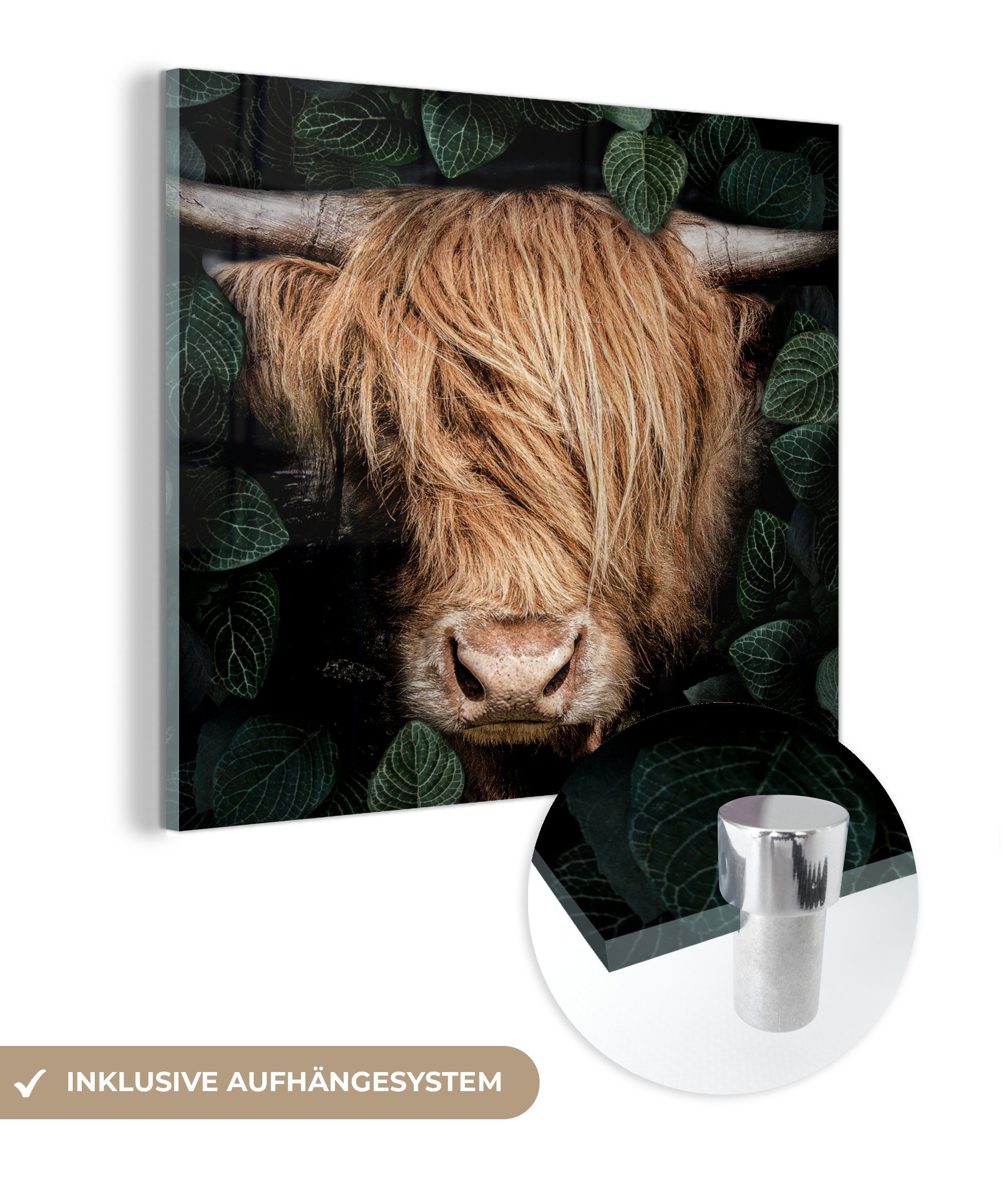 MuchoWow Acrylglasbild Schottischer Hochländer - Blättrig - Kuh, (1 St), Glasbilder - Bilder auf Glas Wandbild - Foto auf Glas - Wanddekoration
