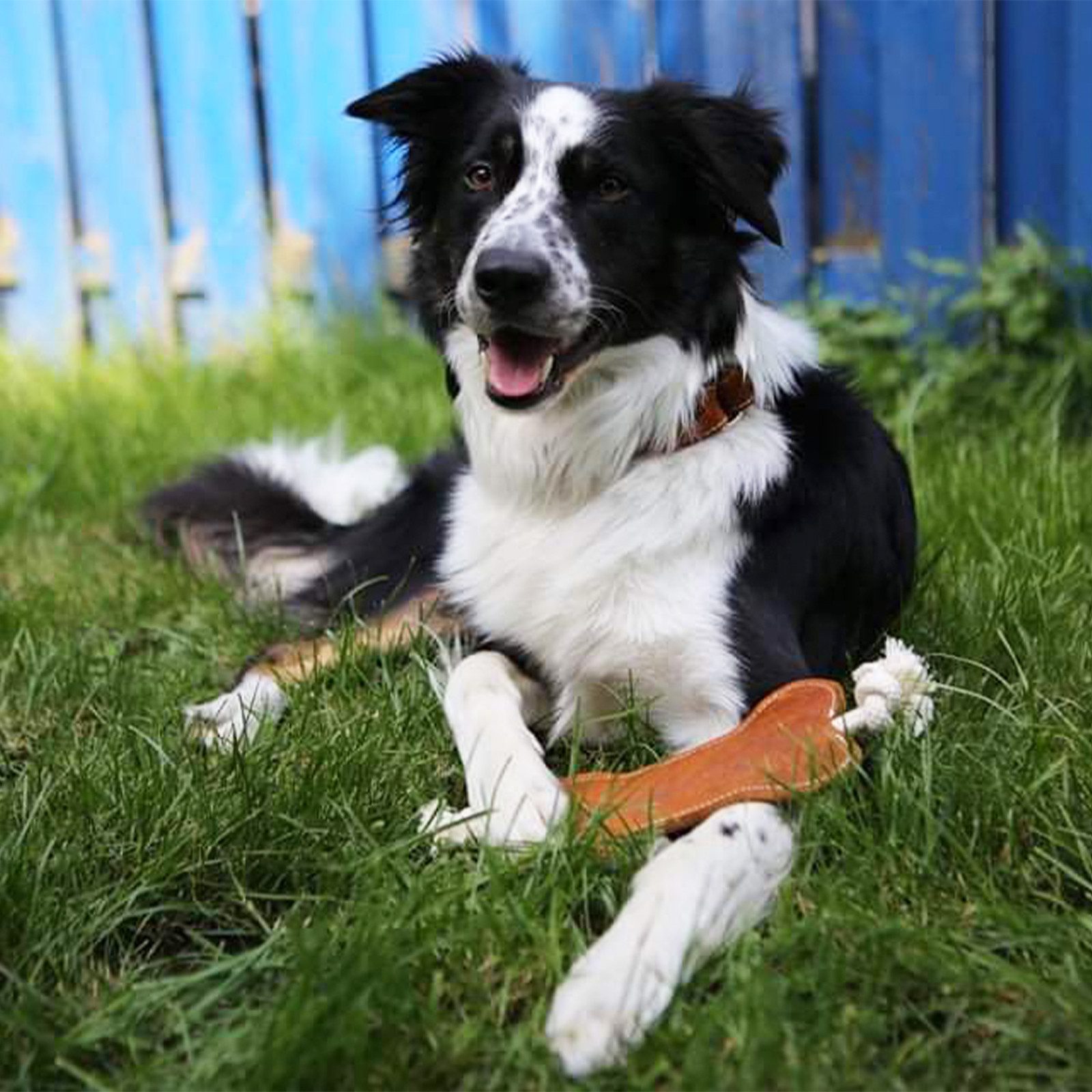 CopcoPet Spielknochen Leder-Knochen Schwarz ca. 20 x 11 cm, Leder