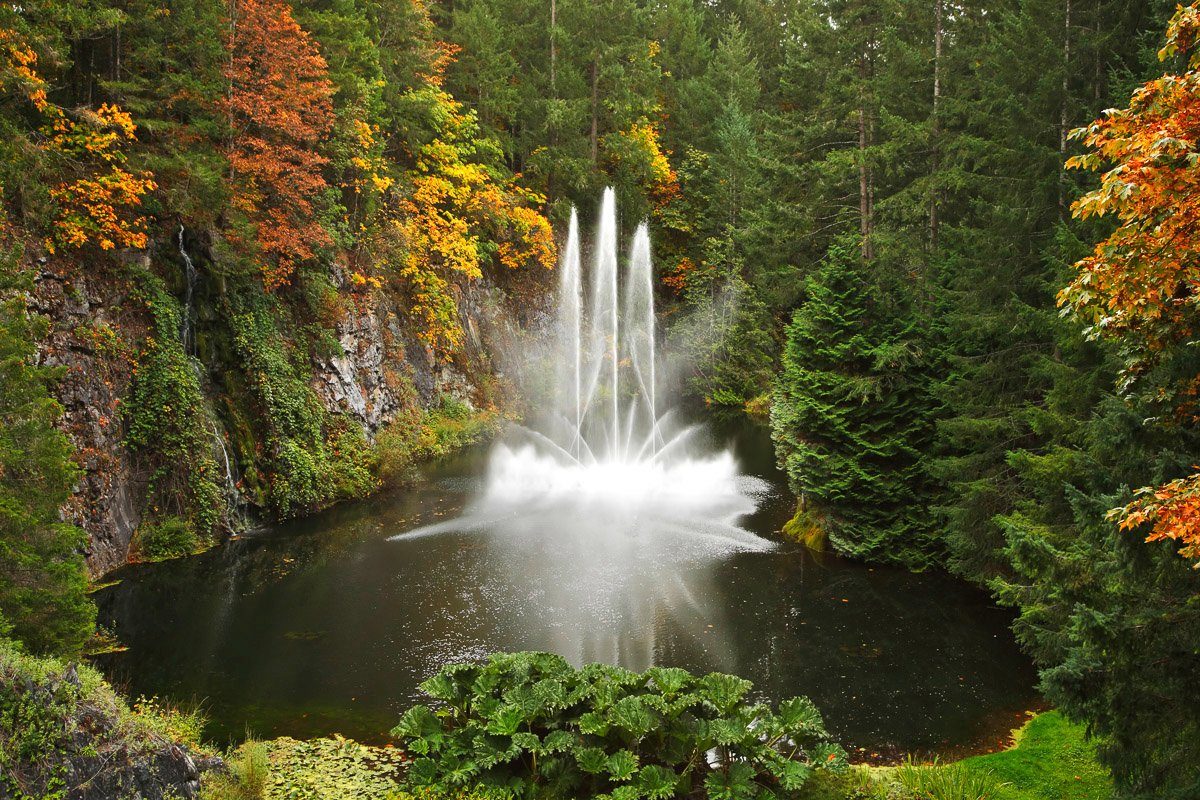Wald im Wasserfall Papermoon Fototapete