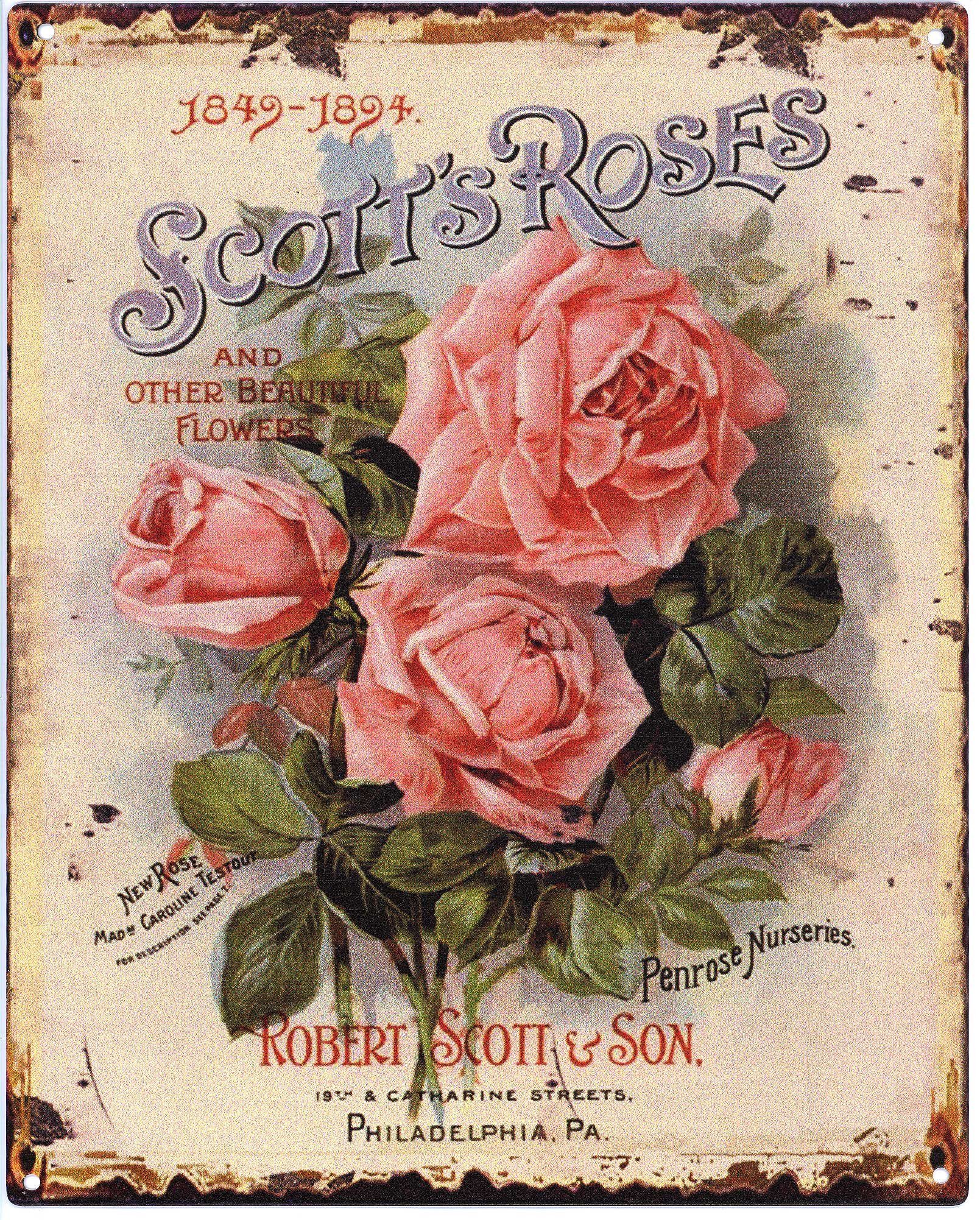 Moritz Metallschild Blechschild Scotts Roses, (Einzeln), 20 x 25 cm Vintage Retro Deko Schild Metallschild Wandbild Schild