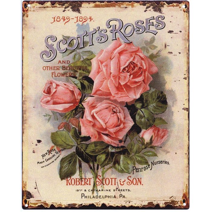 Moritz Metallschild Scotts Roses (Einzeln) 20 x 25 cm Vintage Retro Deko Schild Metallschild Wandbild Wanddeko Schild Deko Spruch