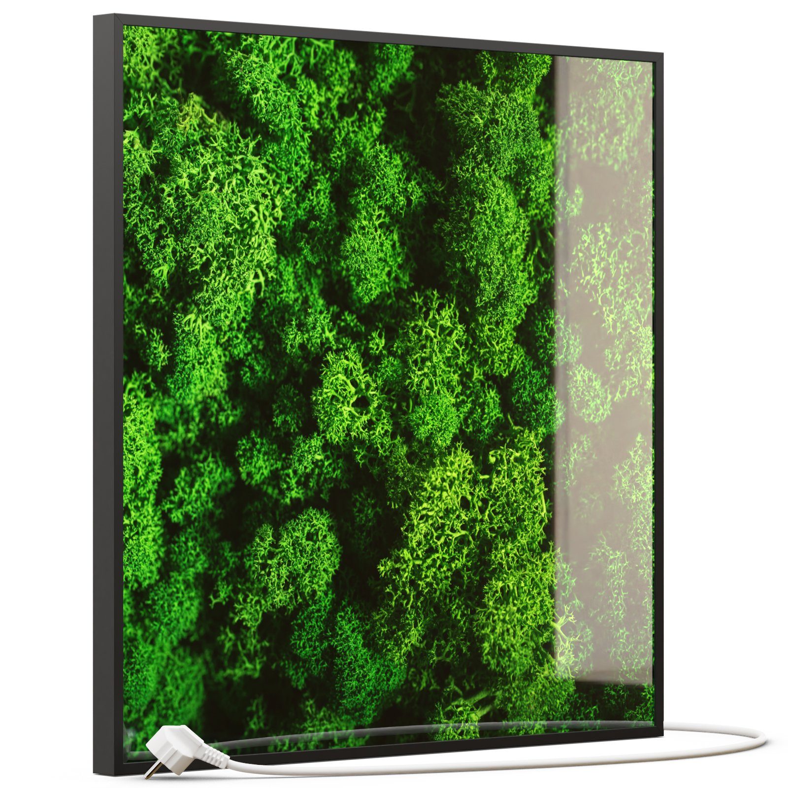 STEINFELD Heizsysteme Infrarotheizung, Glas Bild 350W-1200W, Inklusive Thermostat, 074 Moos