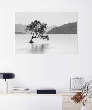 Posterlounge Poster Sebastian Warneke, Einsamer Baum / schwarz-weiß, Badezimmer Rustikal Fotografie