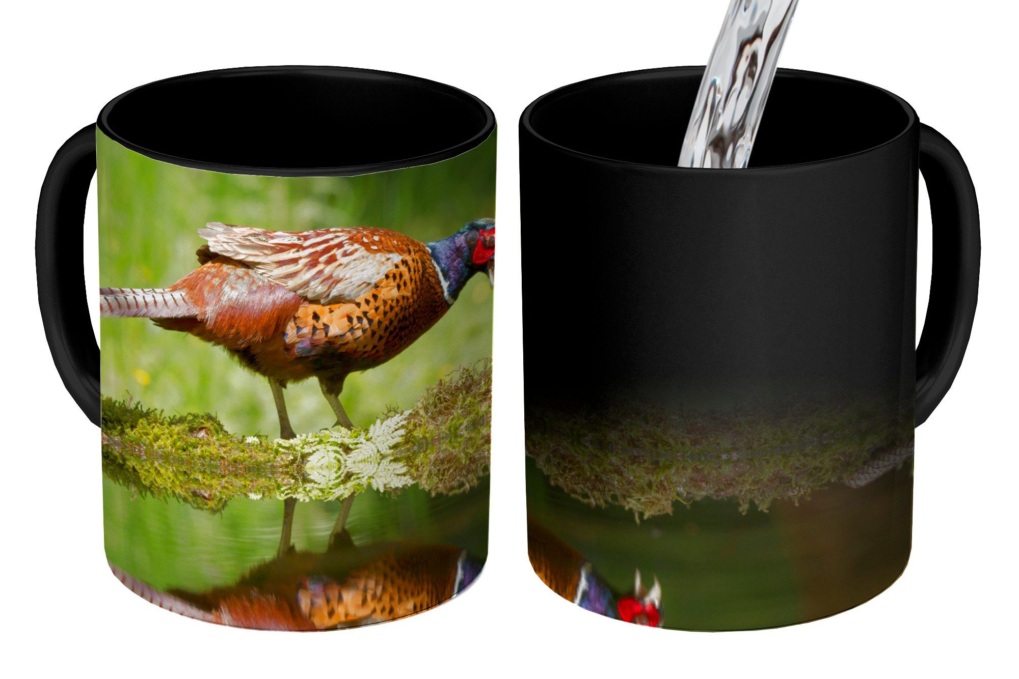 MuchoWow Tasse Fasan - Wasser - Spiegelung, Keramik, Farbwechsel, Kaffeetassen, Teetasse, Zaubertasse, Geschenk